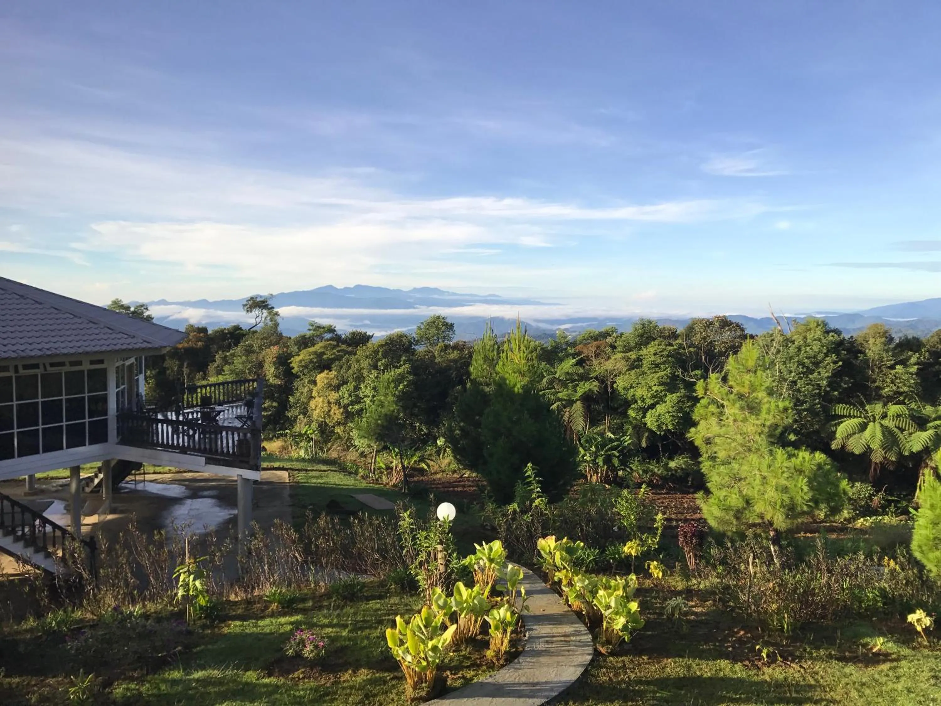 Garden view in Mesilau Mountain Retreats