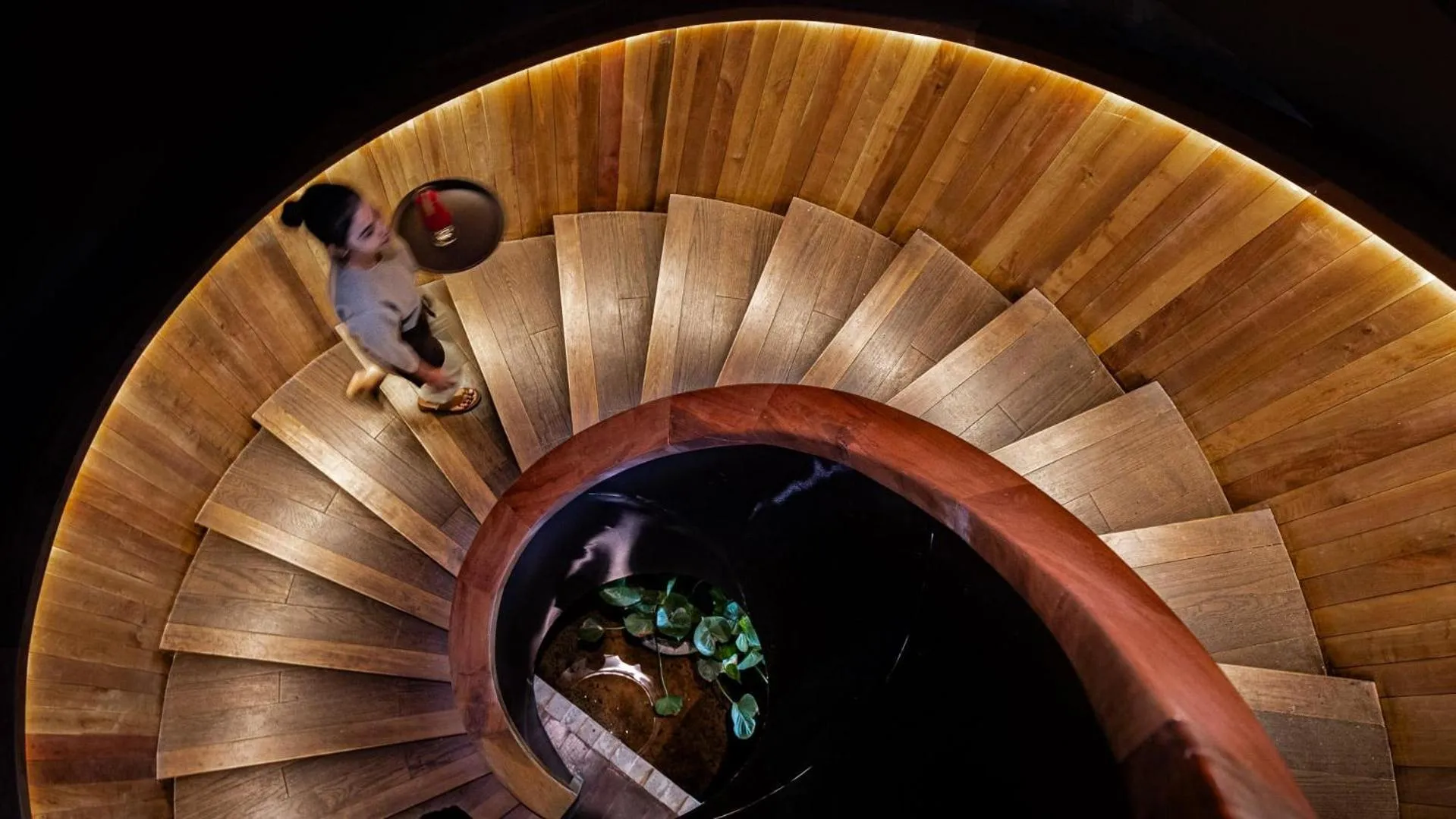 Lounge or bar in Anjali by Syphon