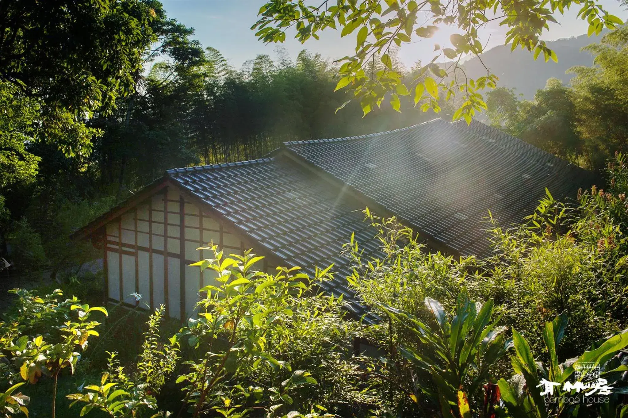 Bamboo House Bamboo House