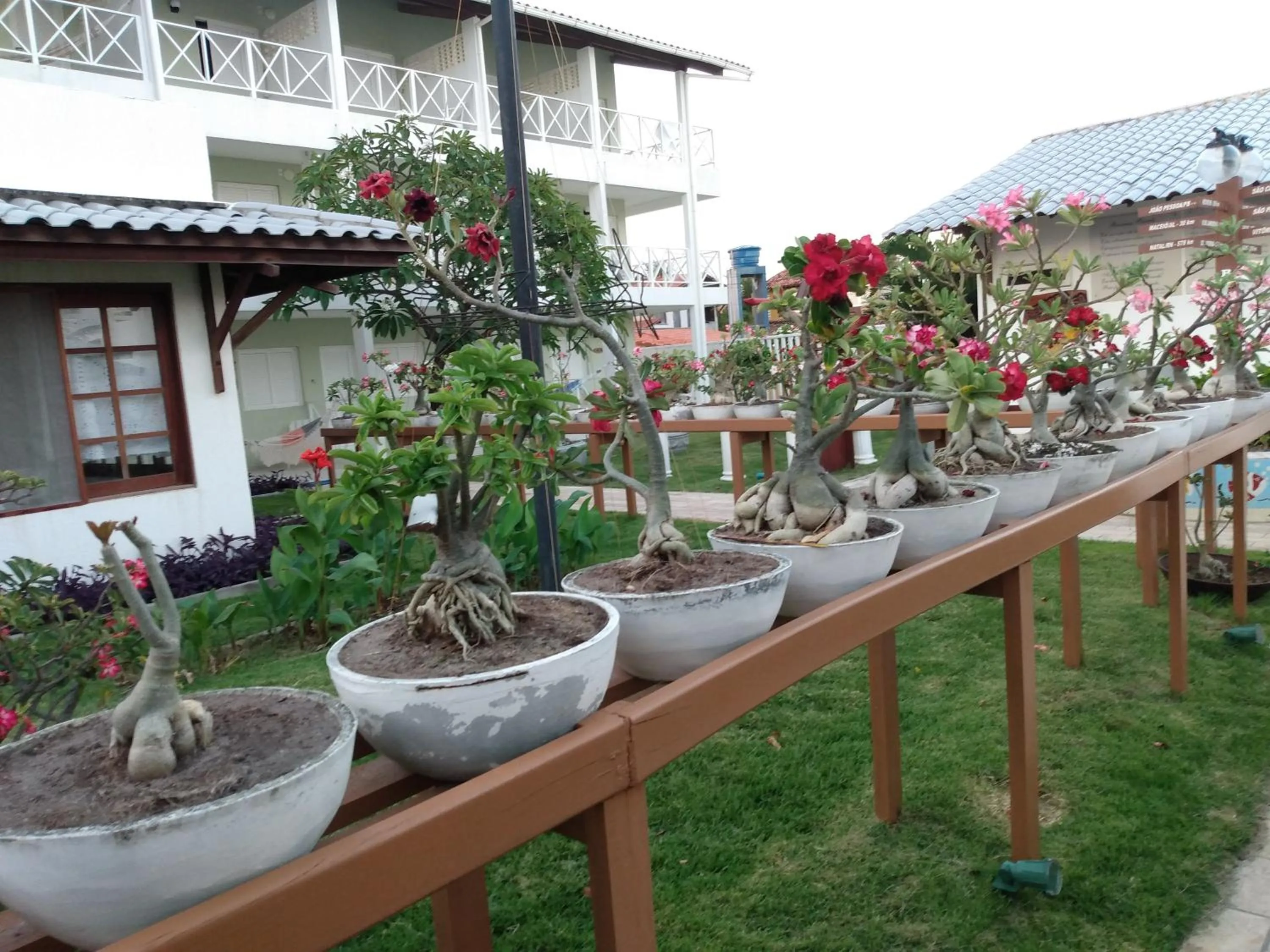Garden in Brisamar Hotel Pousada
