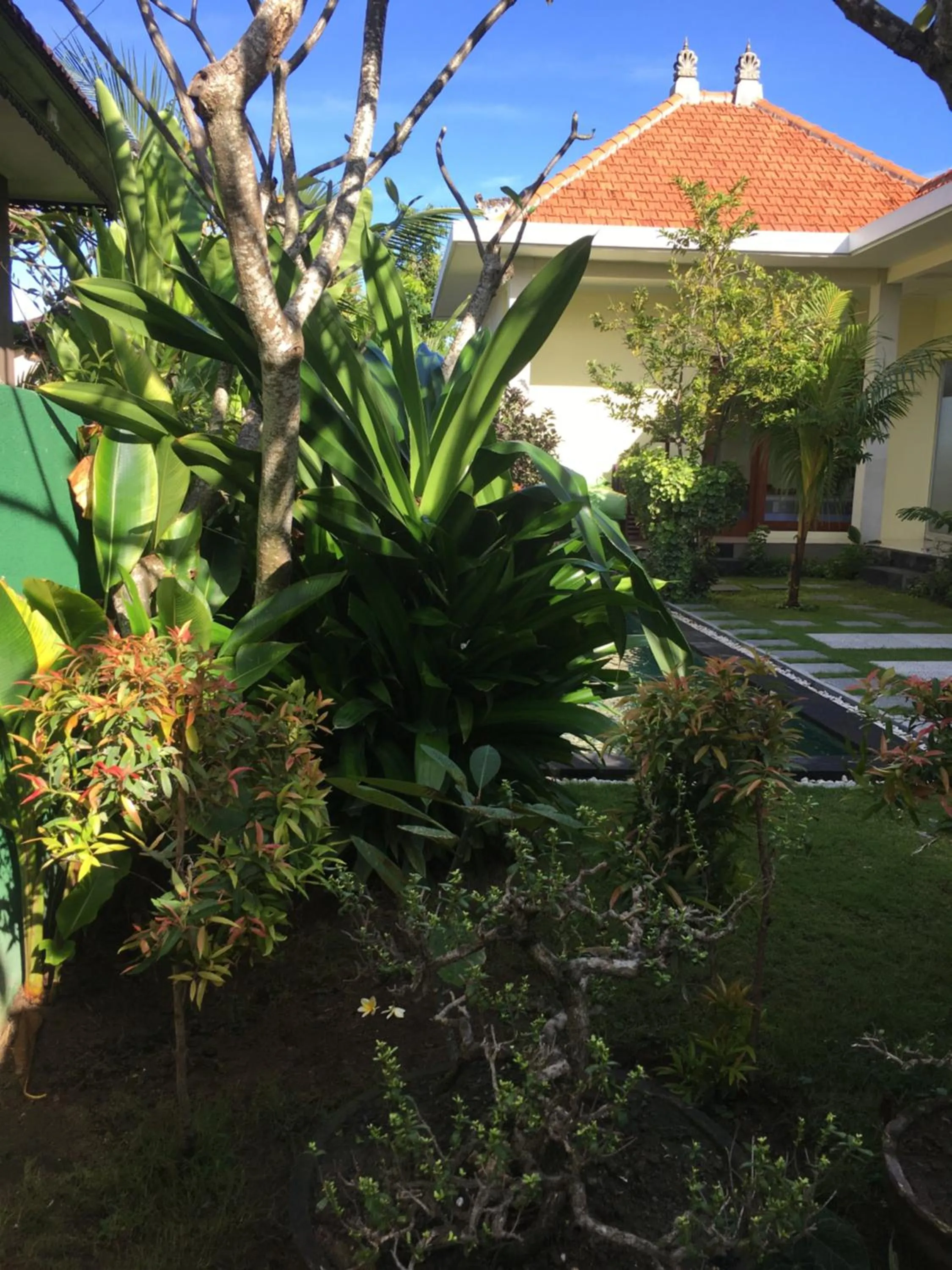 Kubu Green