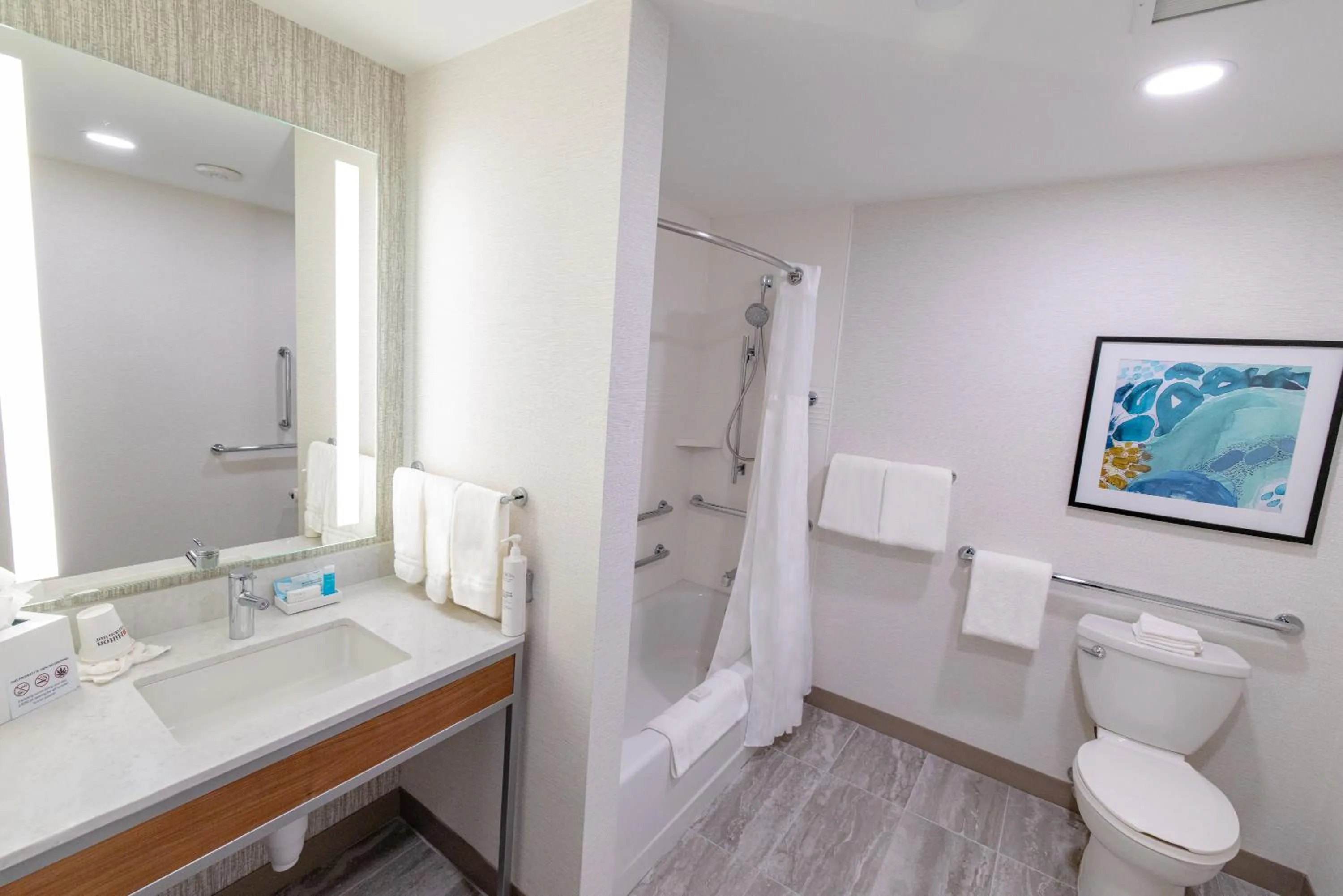 Toilet in Hilton Garden Inn Lakewood