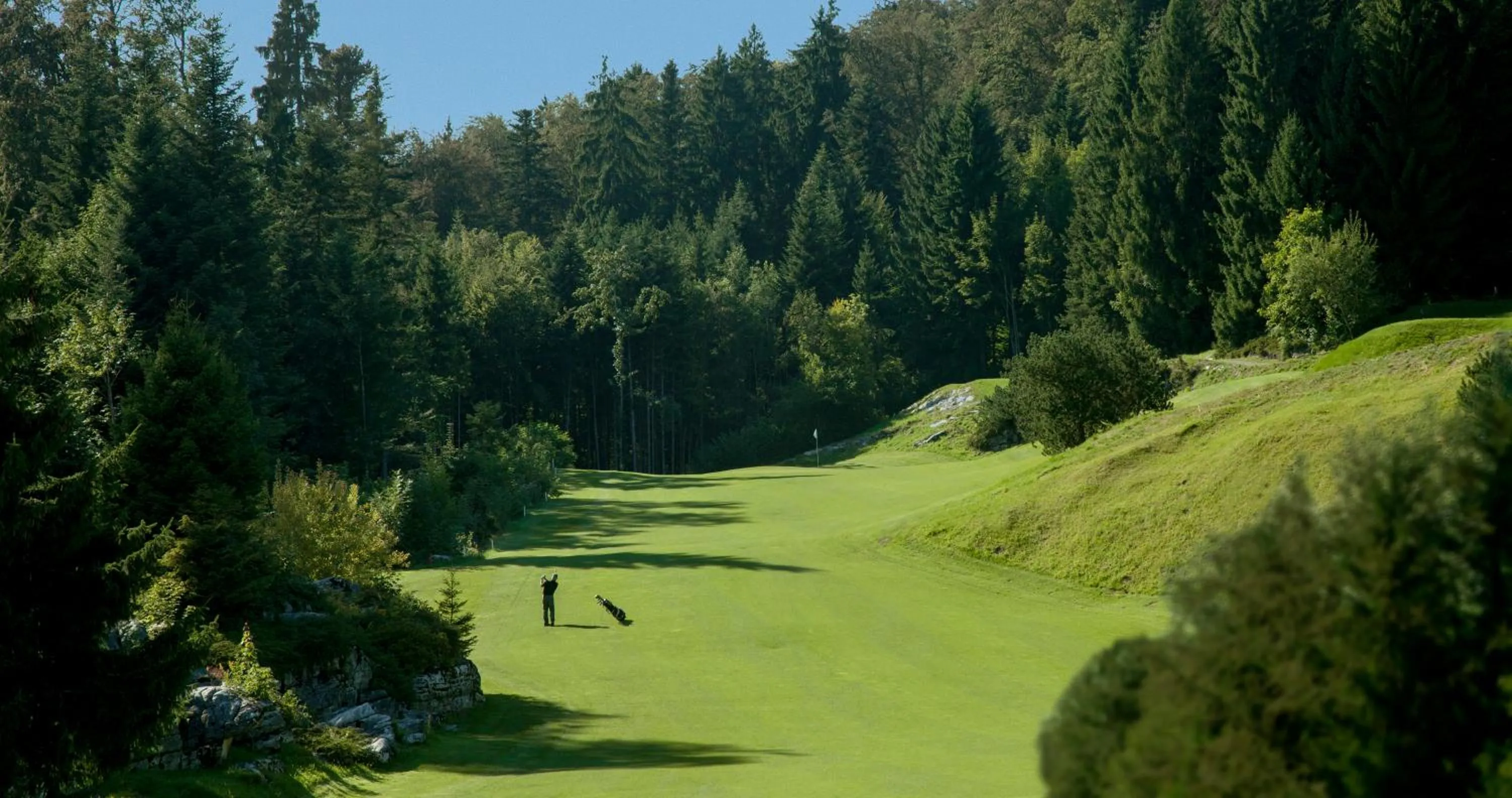 Natural landscape in Waldhotel by Bürgenstock