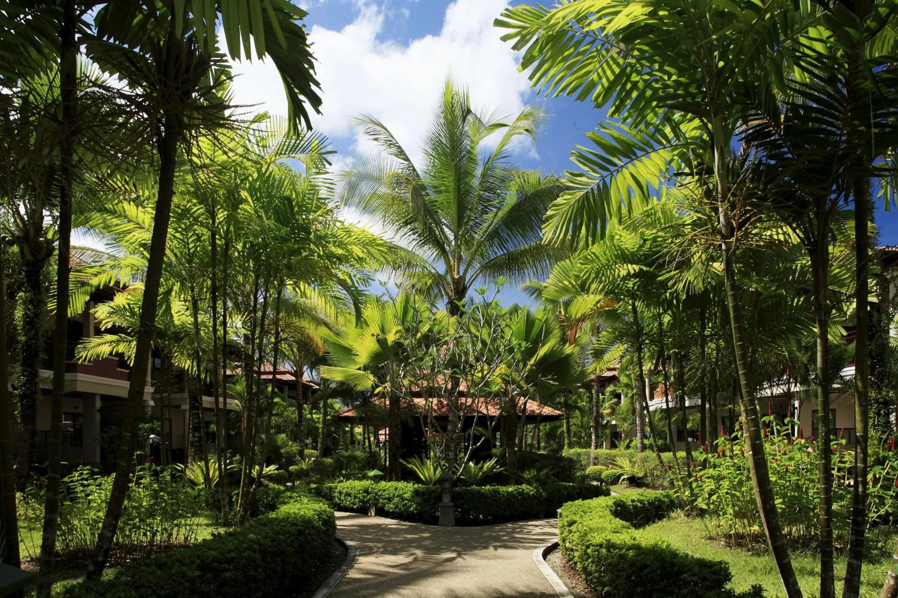 Garden in Khaolak Bayfront Resort