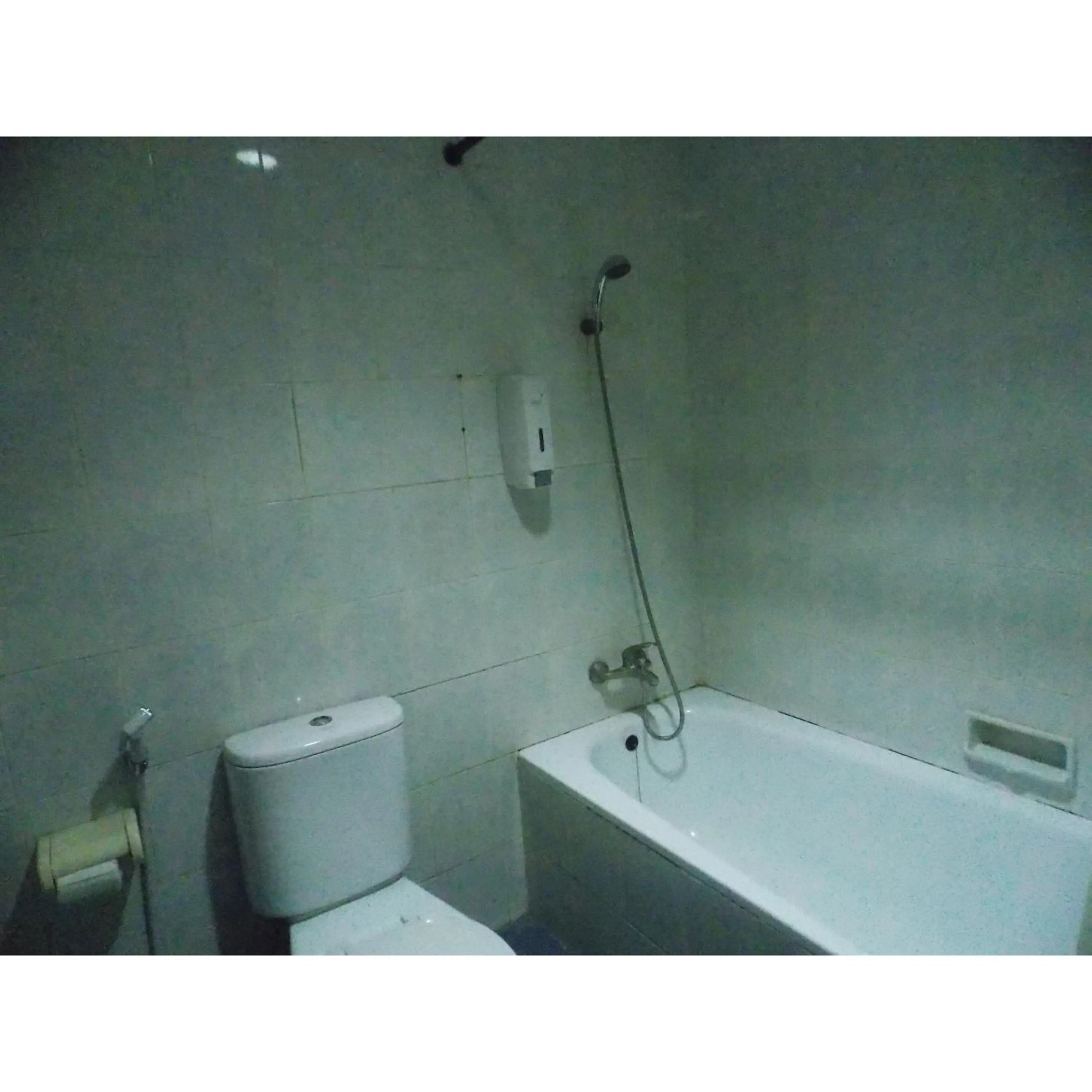 Toilet in Puri Jaya Hotel