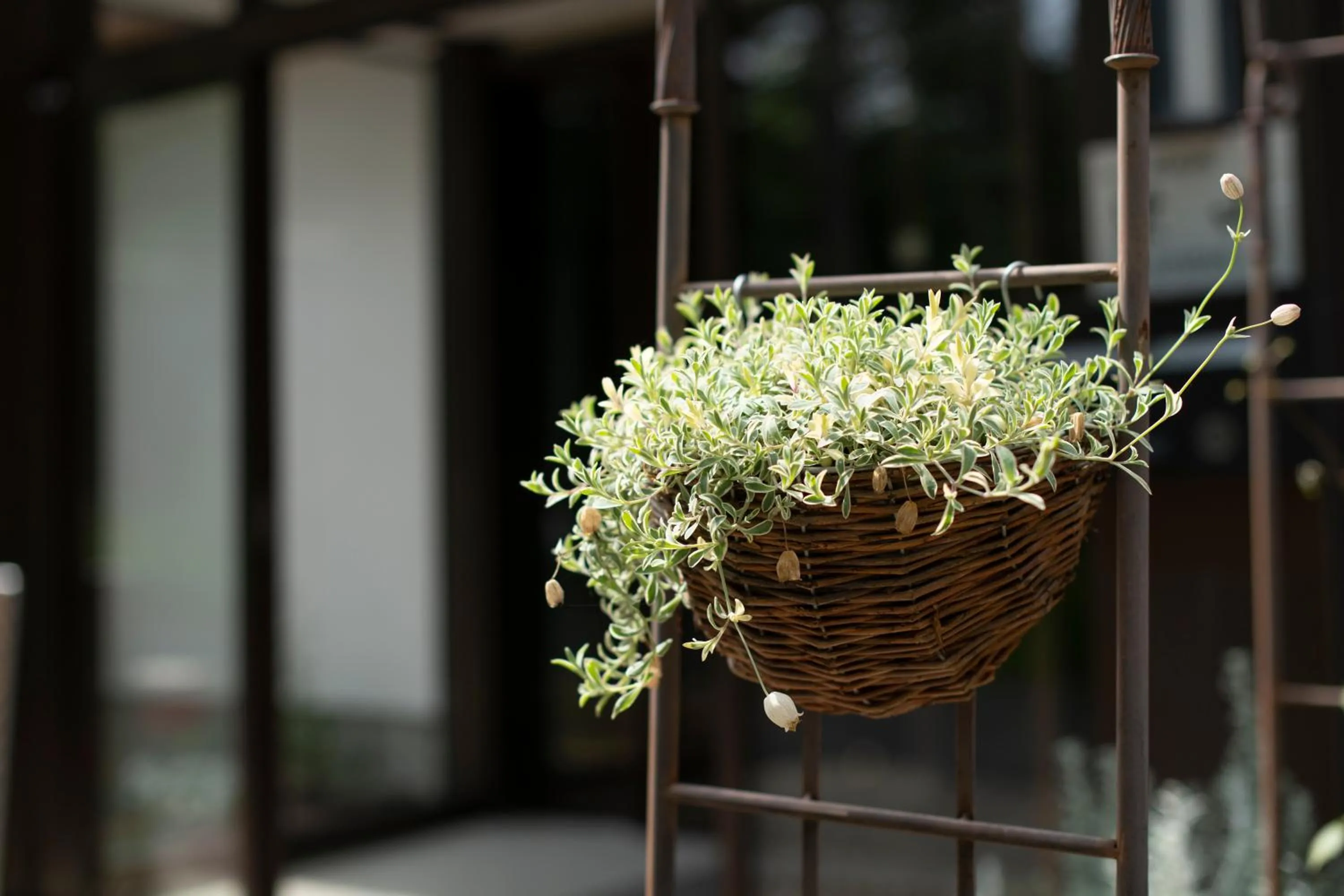 Facade/entrance in Yamanaka Lake Ryozan