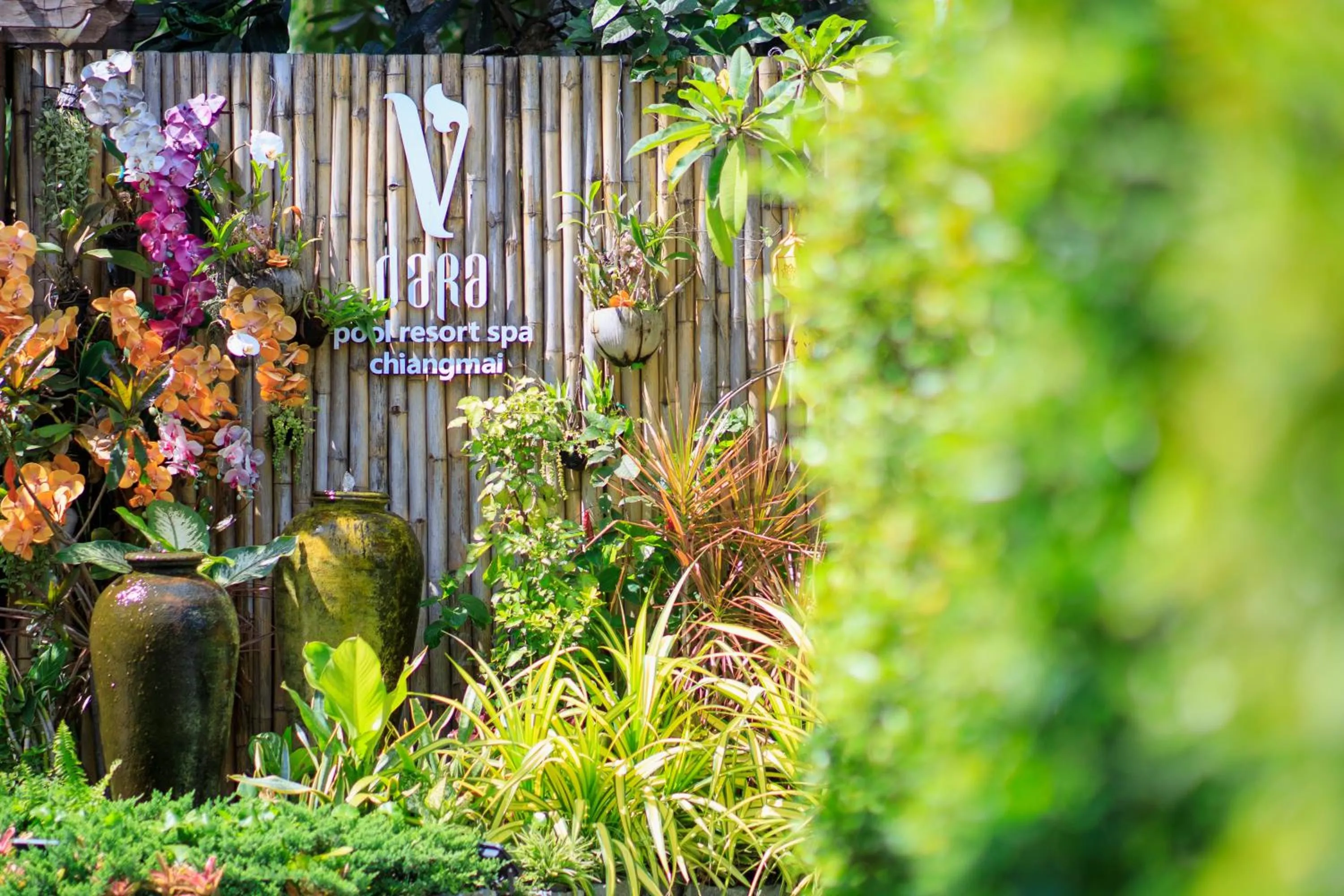 Vdara Pool Resort Spa Chiang Mai