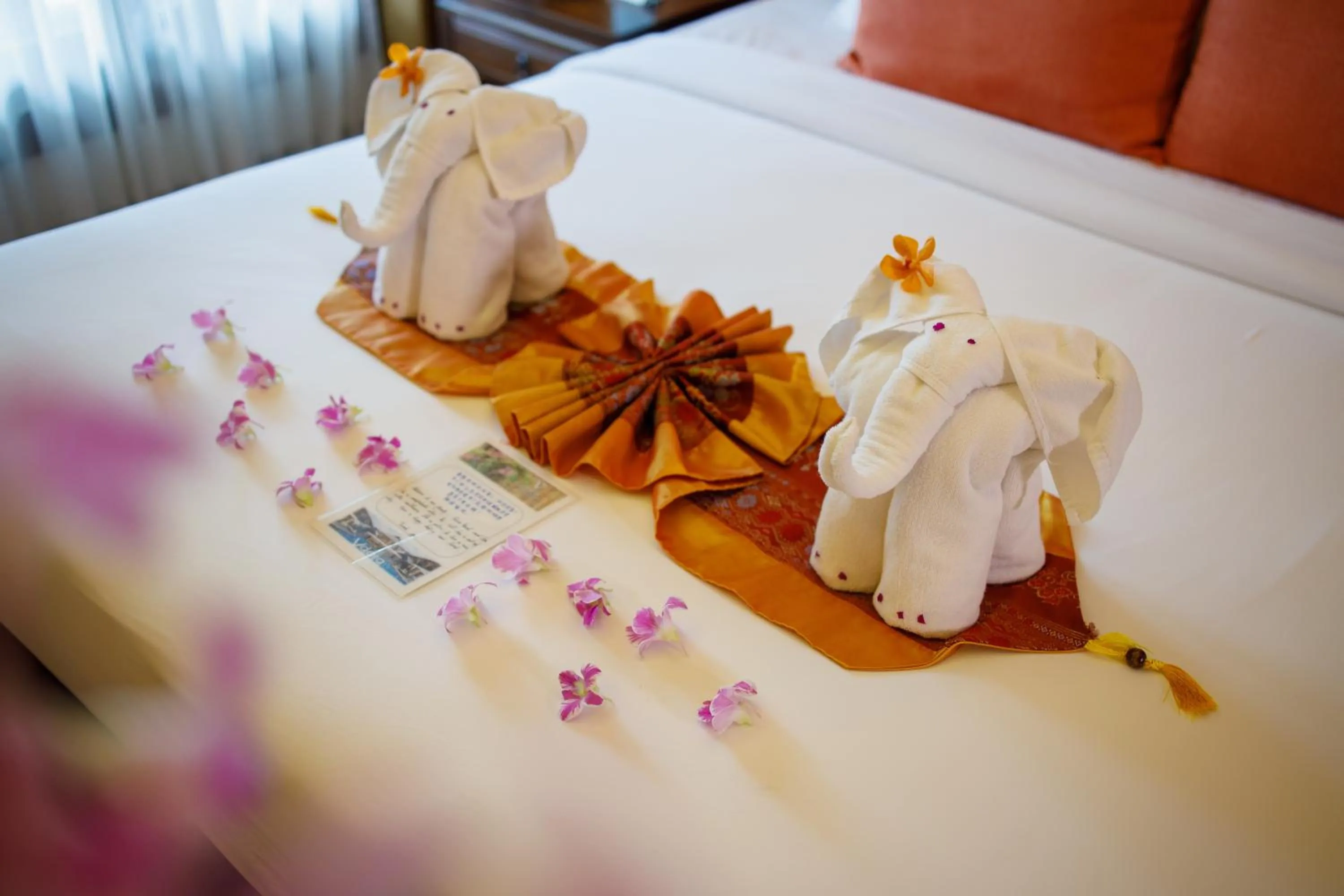 Vdara Pool Resort Spa Chiang Mai