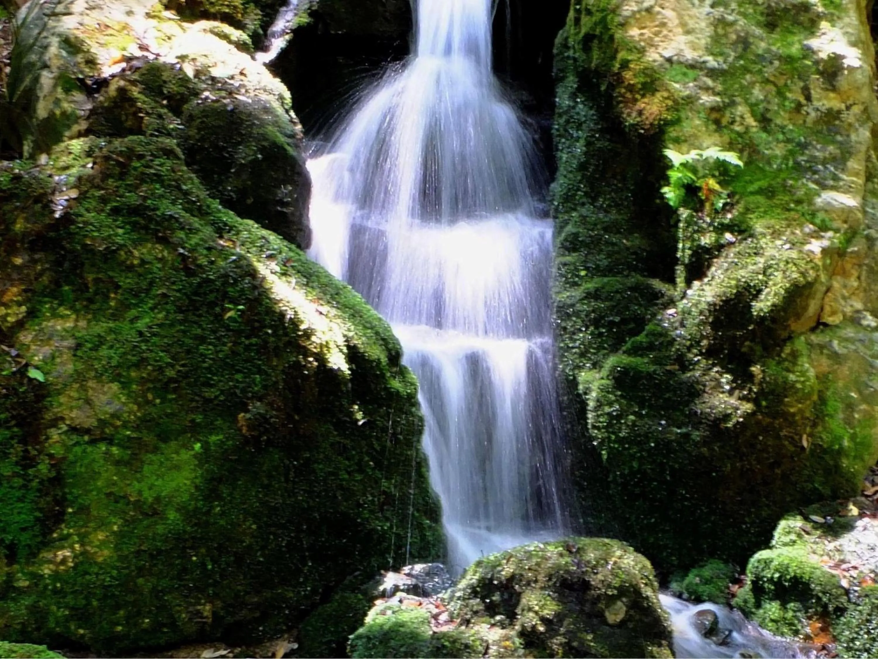Nearby landmark in KOKO HOTEL Kyoto Shijo Karasuma - formerly Hotel Wing International Kyoto - Shijo Karasuma