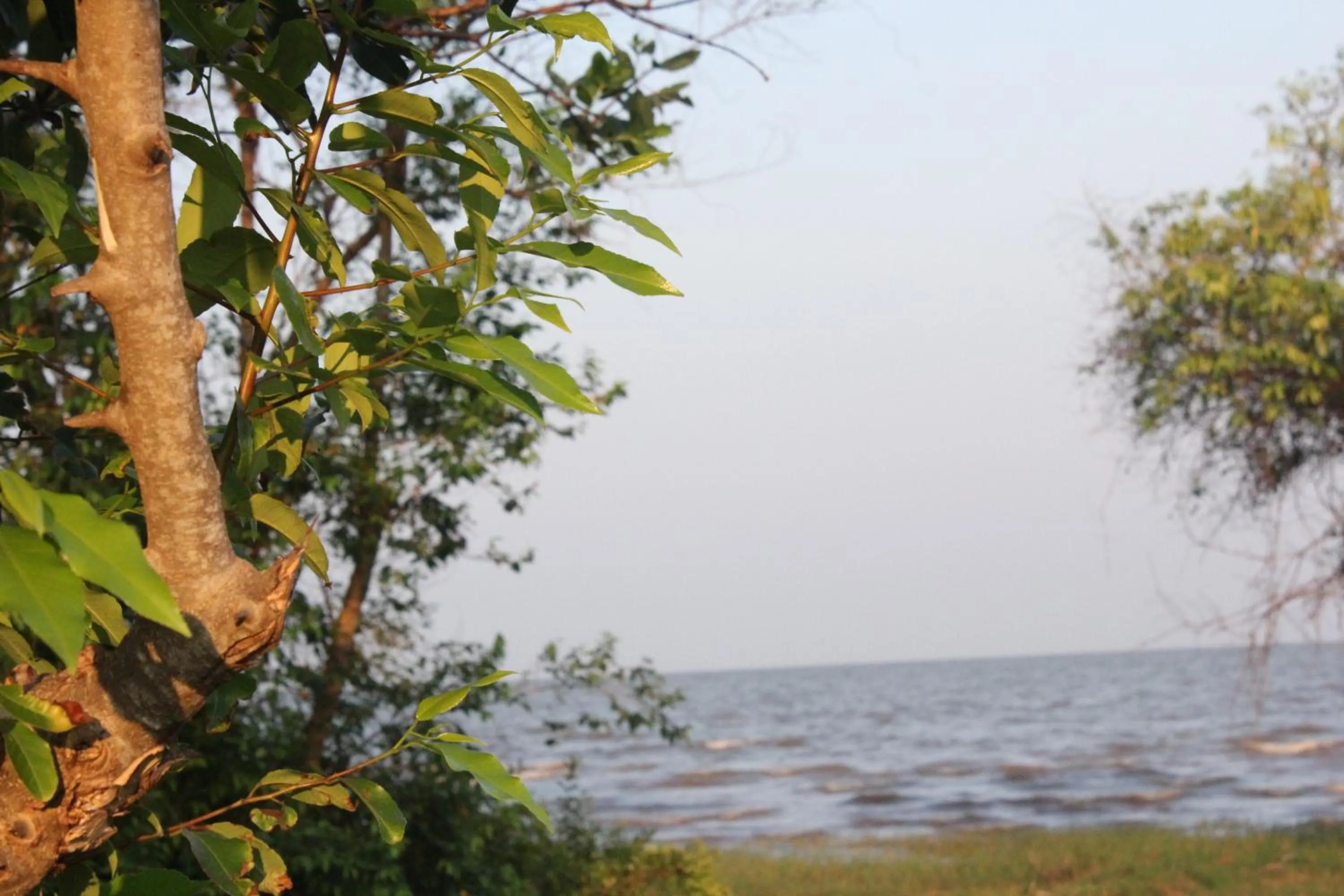 Property building in Rimlay Park Resort