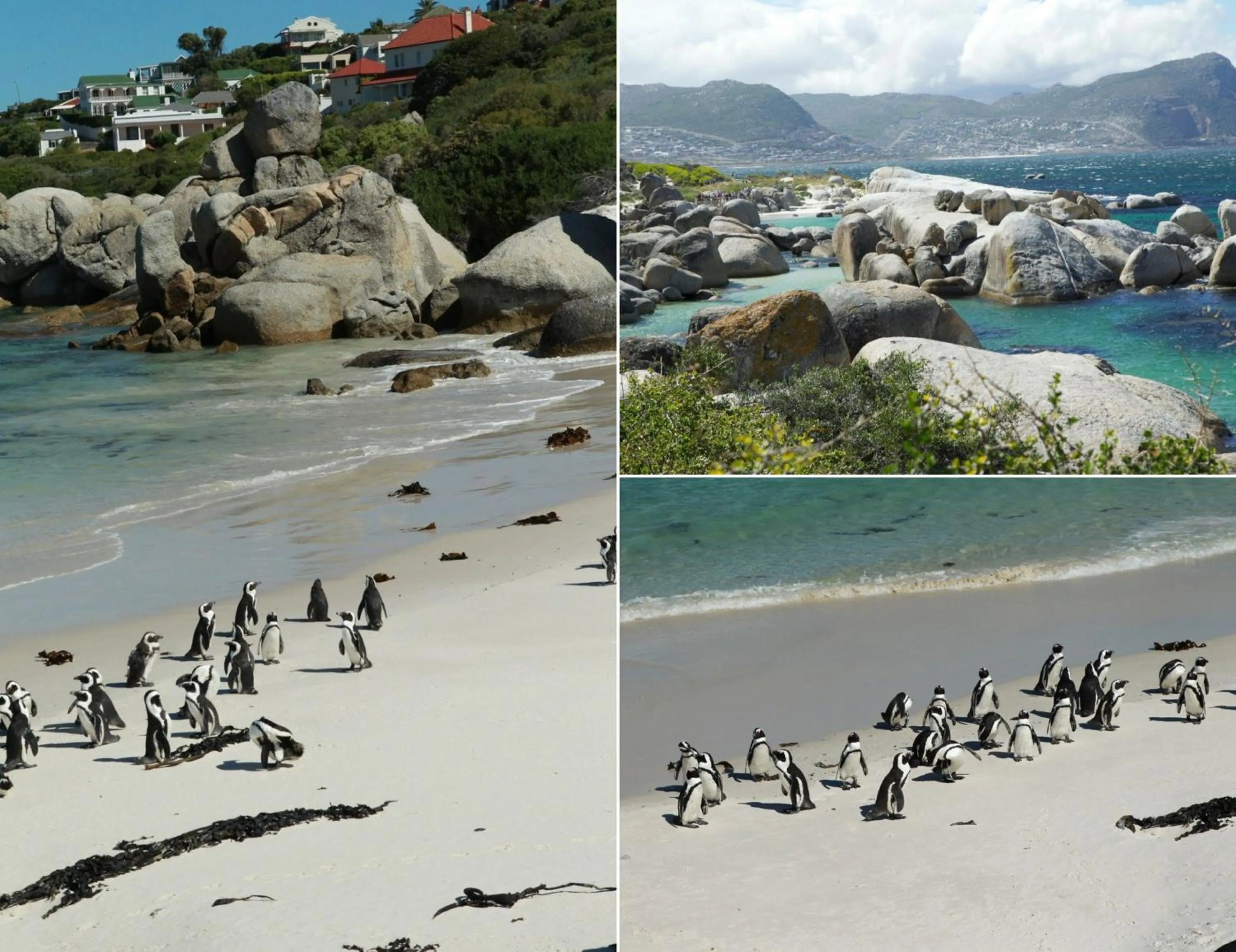 Beach in Mariner Guesthouse & Villa