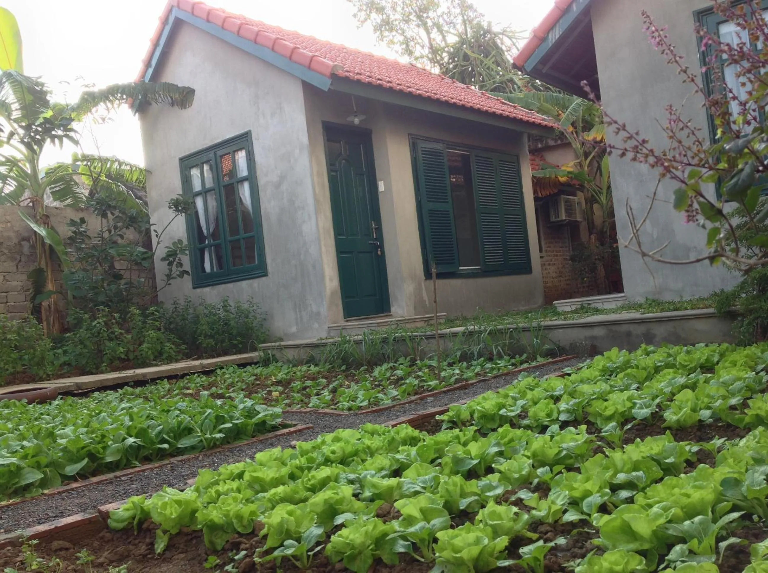 Garden in Tam Coc Eco House