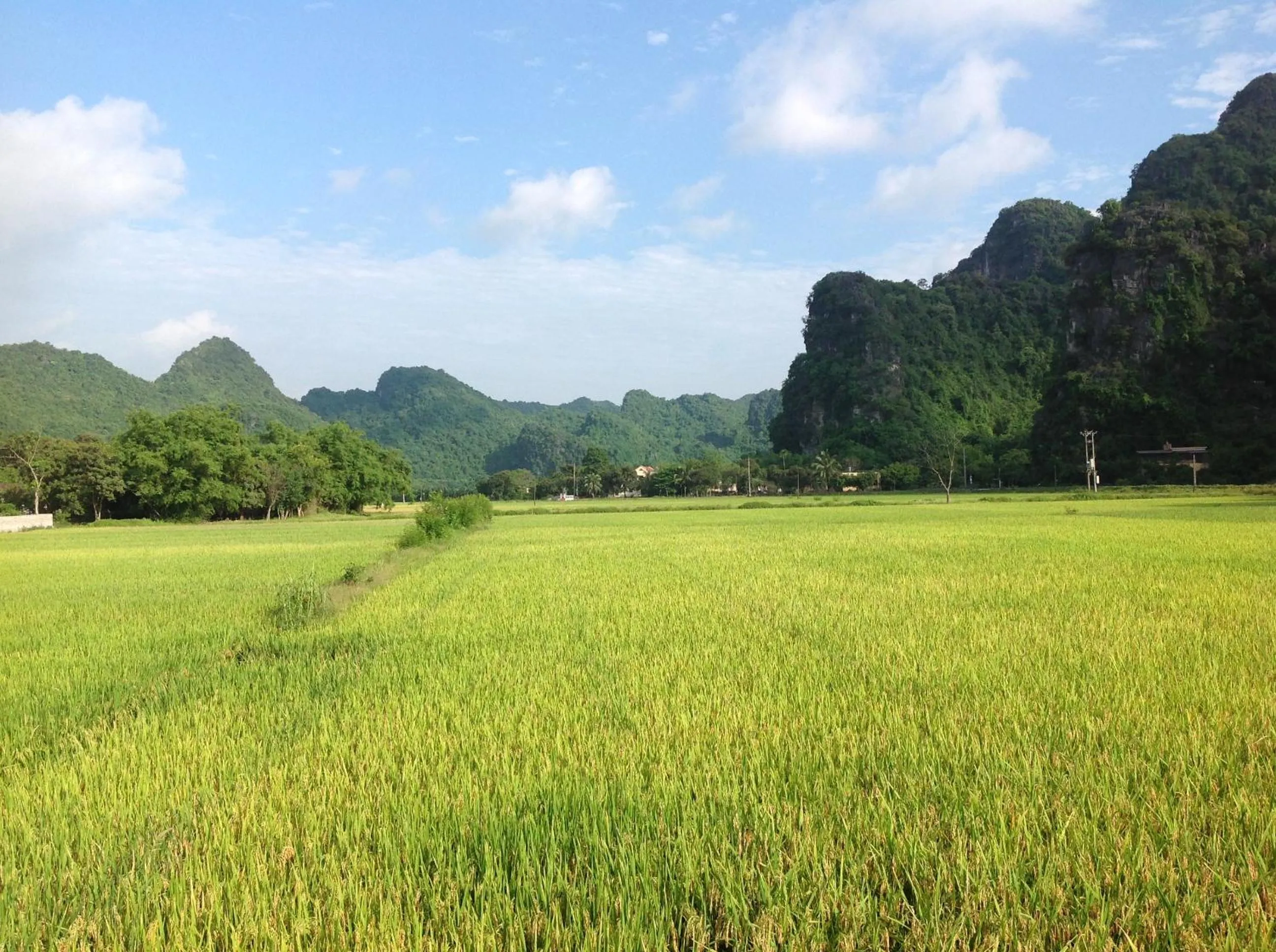 Natural landscape in Tam Coc Eco House