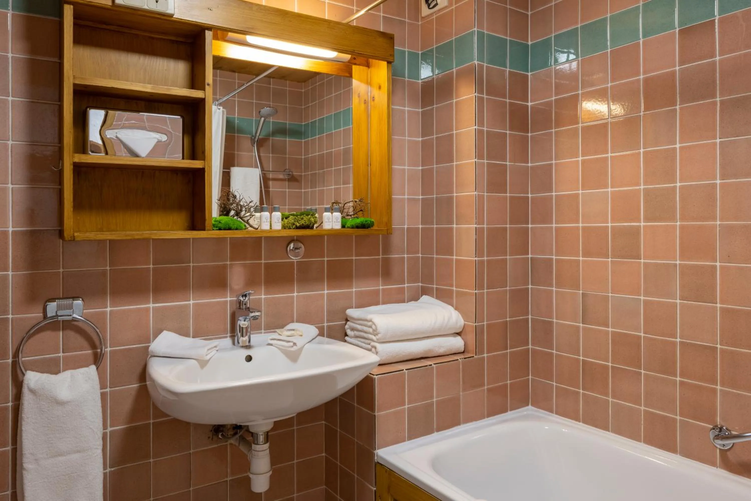 Bathroom in Hôtel Courcheneige