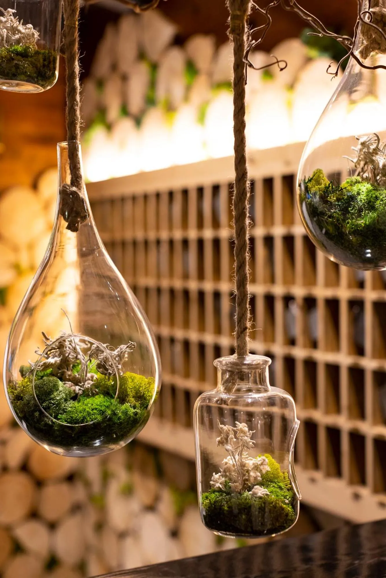 Lobby or reception in Hôtel Courcheneige