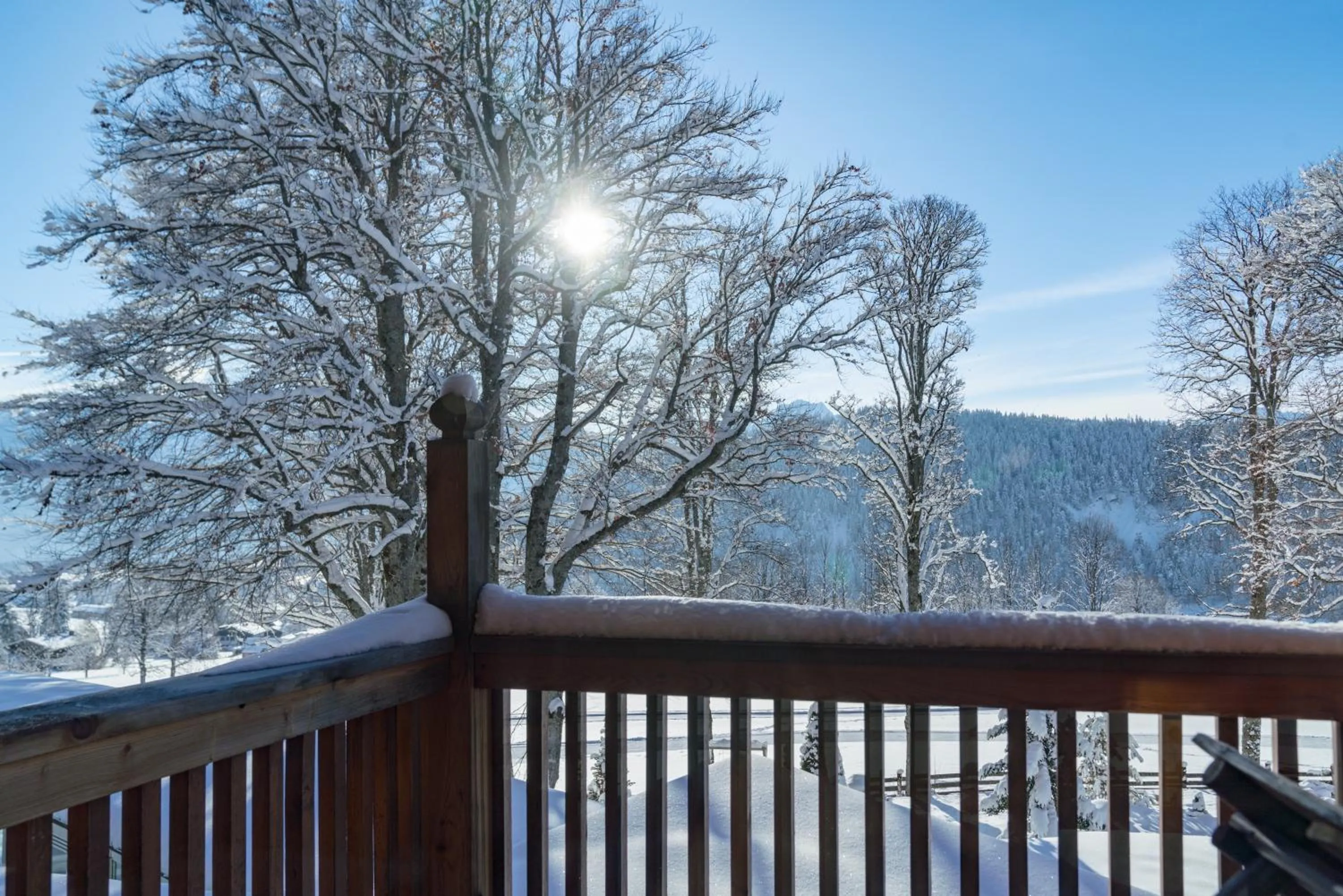 Day in Hotel Ramsauhof Pool & Wellness Breakfast & Light Dinner Buffet