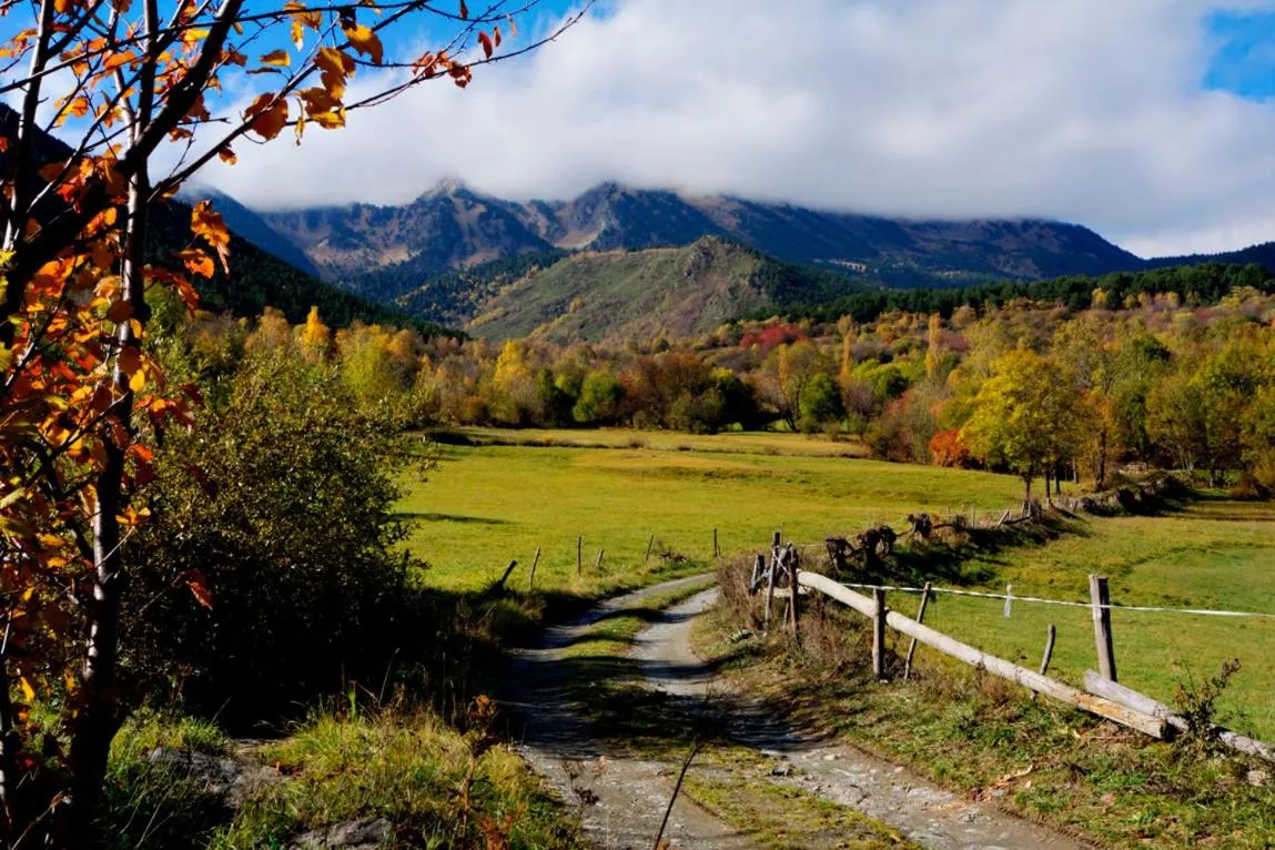 Area and facilities in Hotel Lo Paller