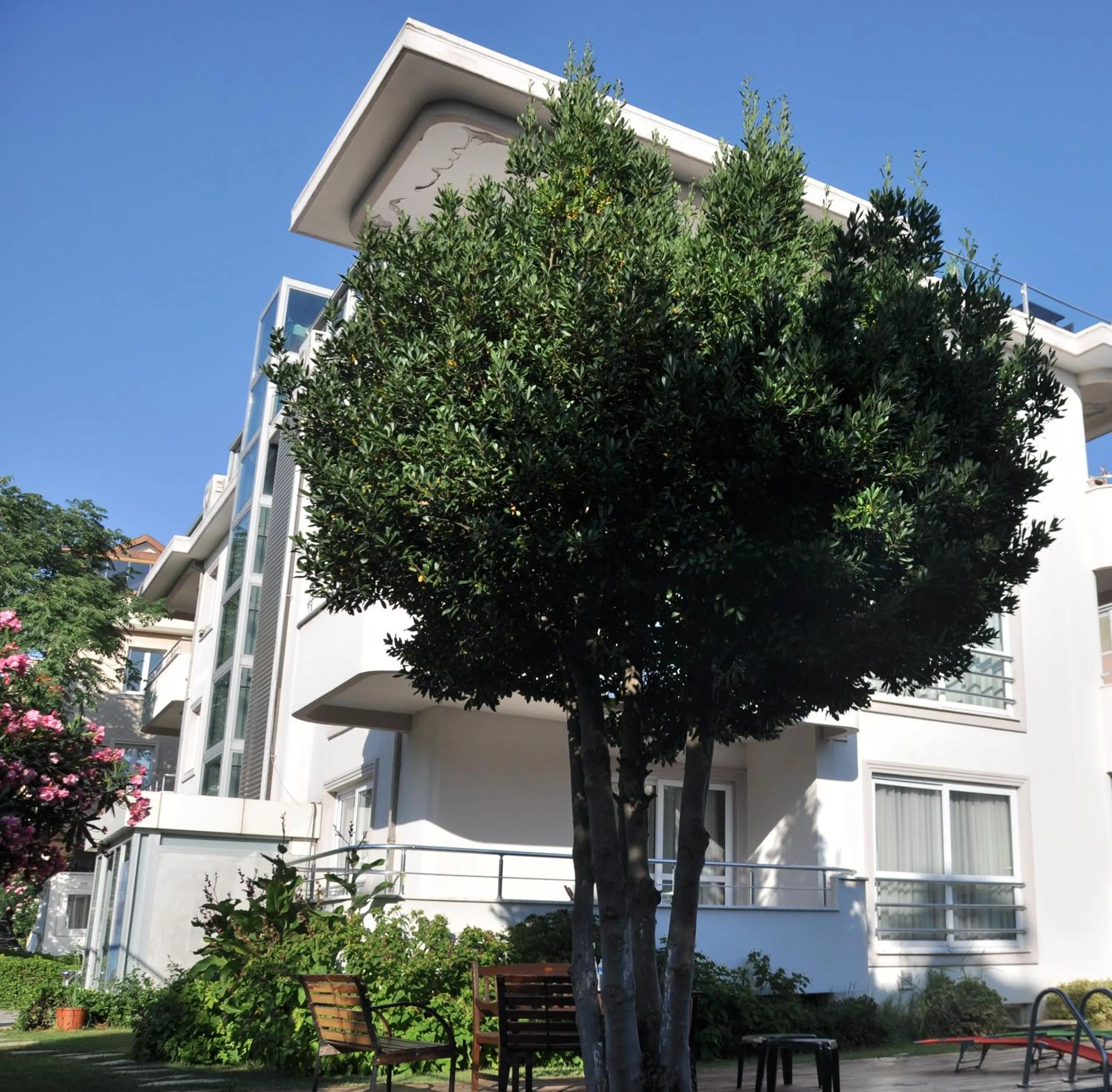 Facade/entrance in dragos island hotel
