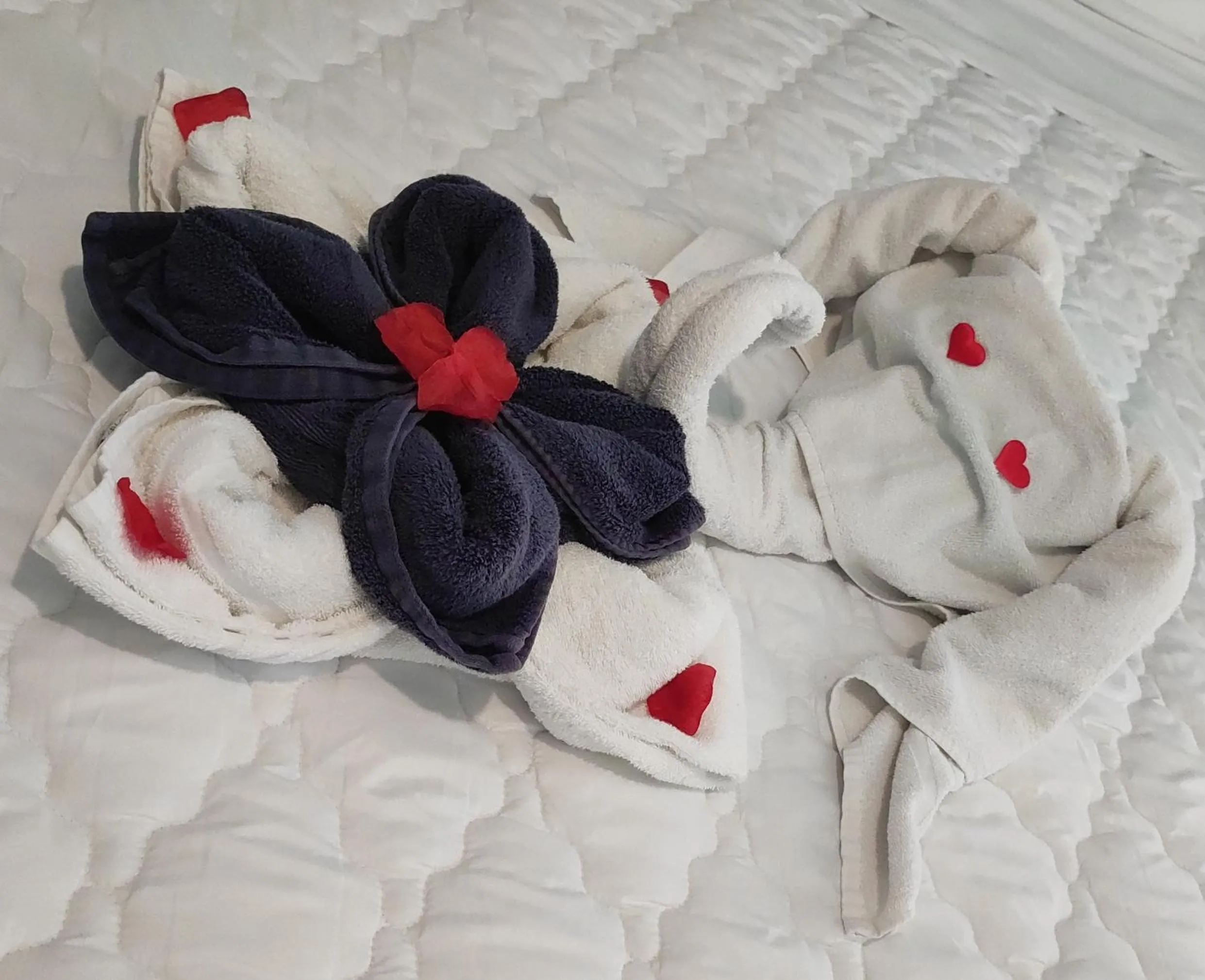 towels in RomAmoR Suite