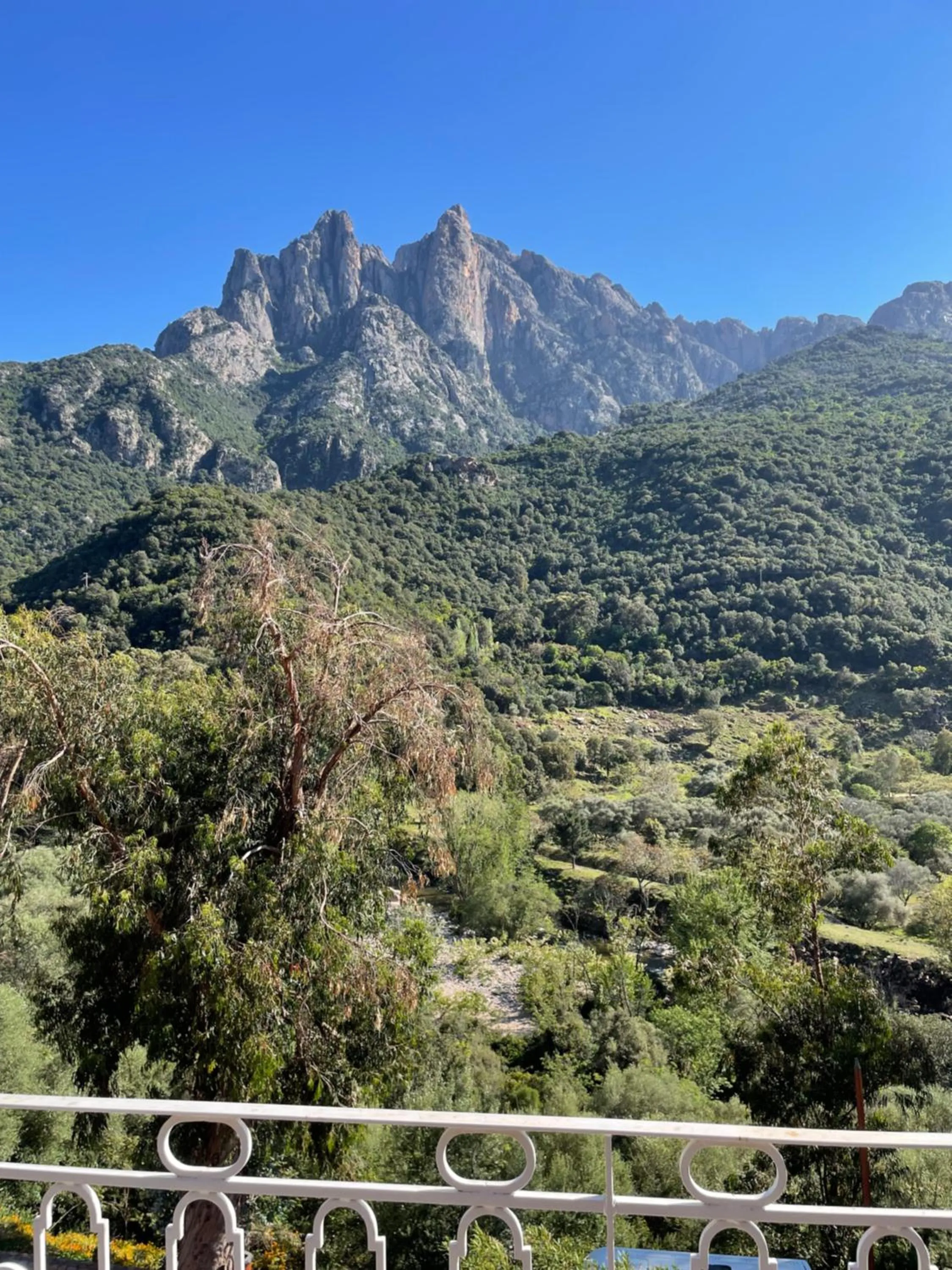 Mountain view in Logis Hotel Le Lonca