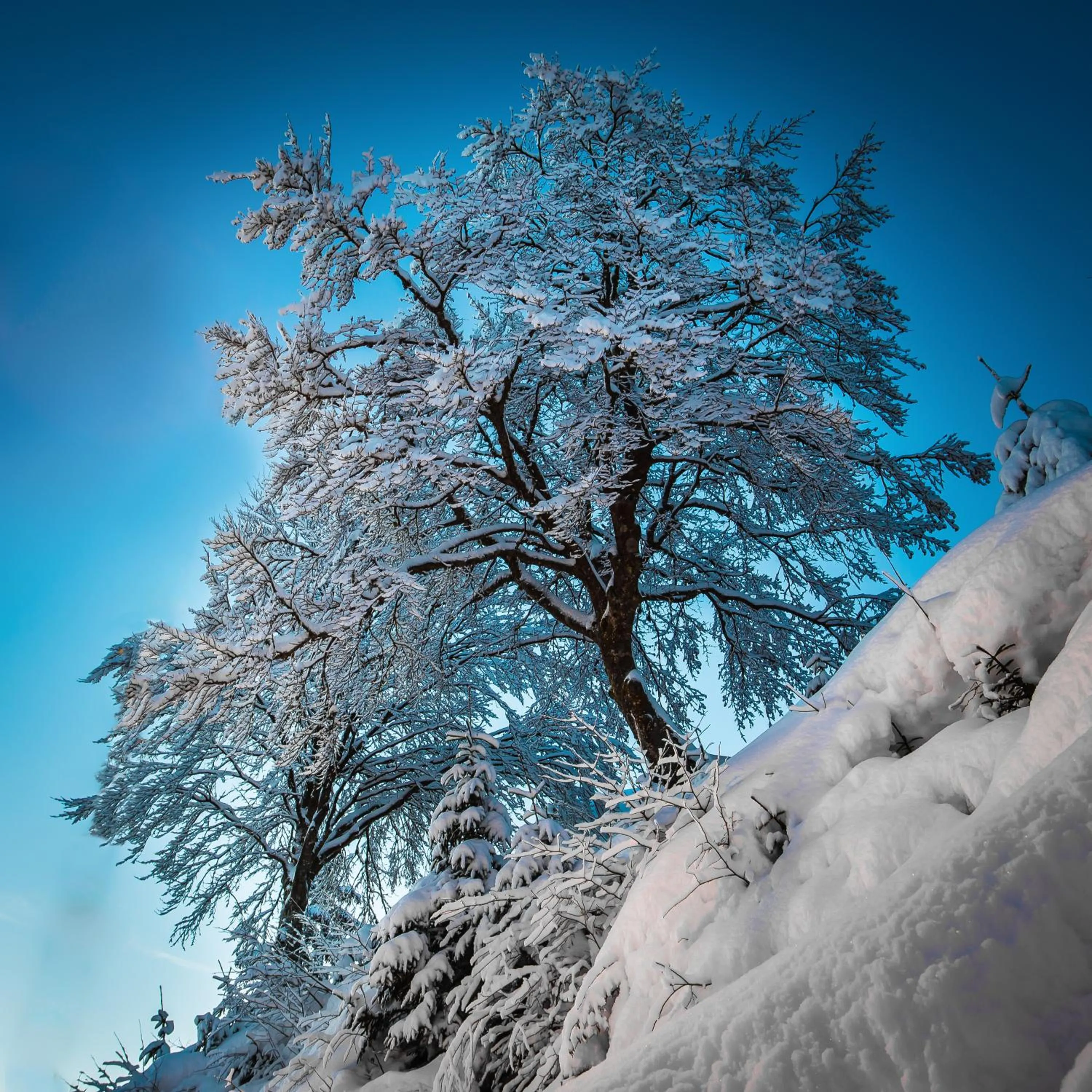 Natural landscape in Hotel Zodiaco & Spa