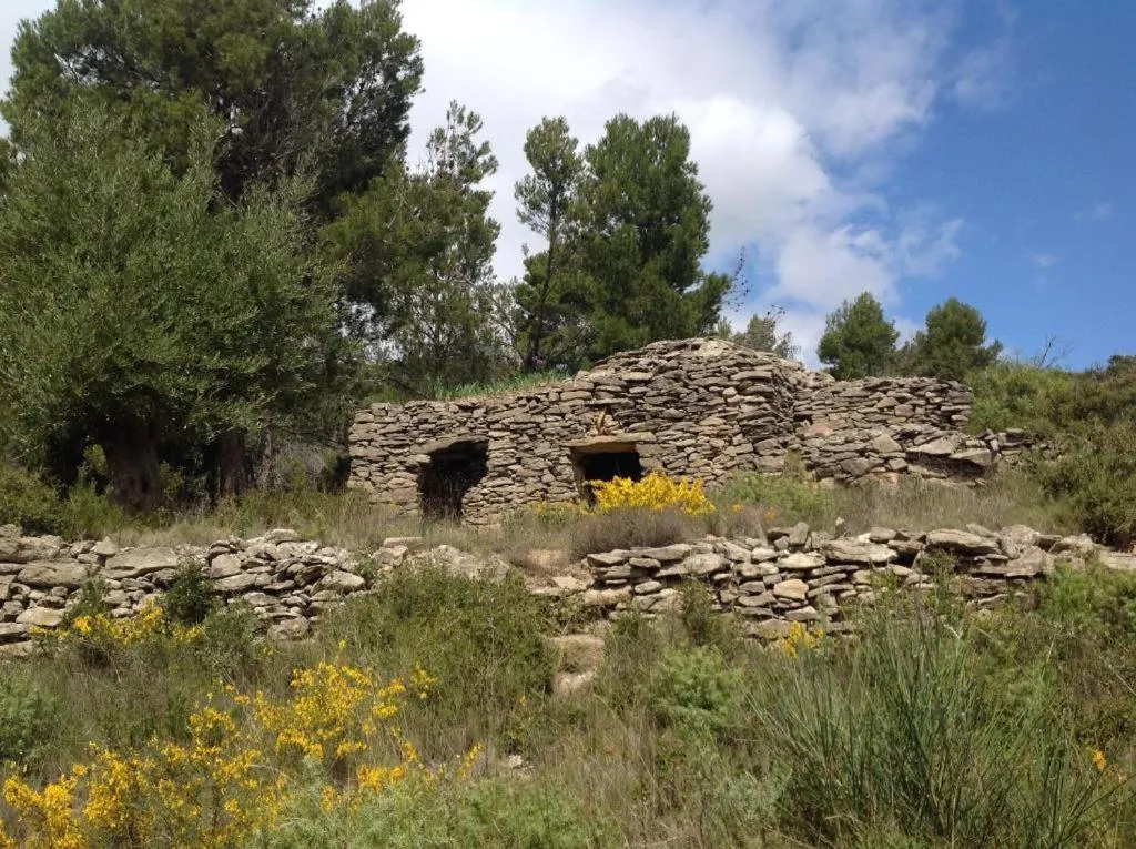 Natural landscape in Château De Siran - Hôtel & Spa