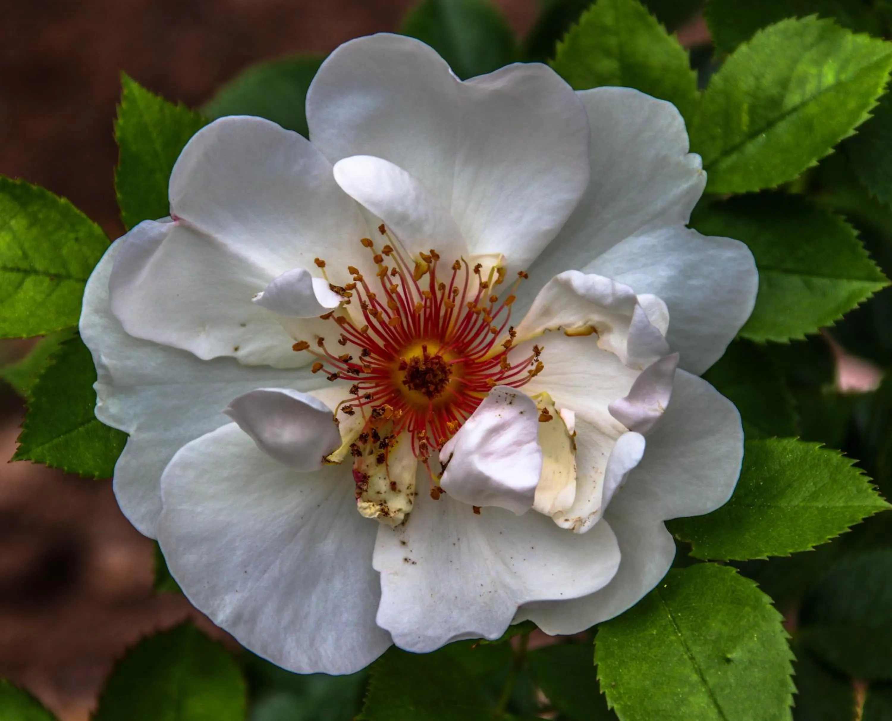 Natural landscape in Château De Siran - Hôtel & Spa