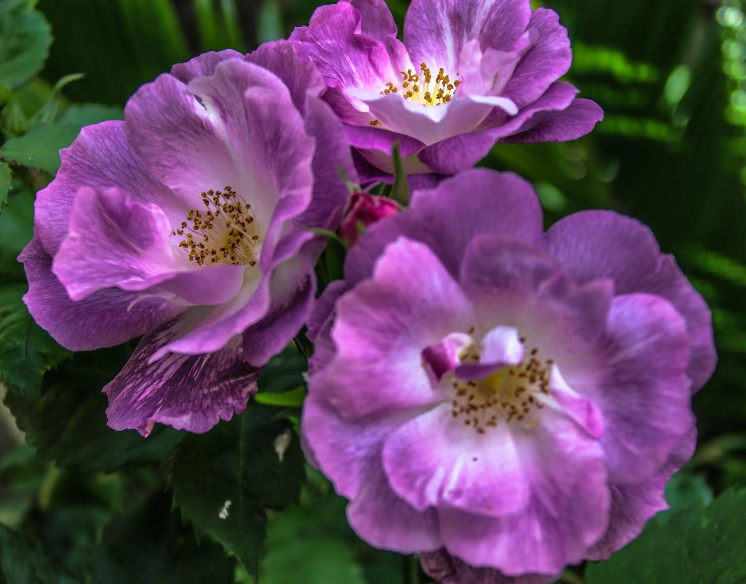 Natural landscape in Château De Siran - Hôtel & Spa