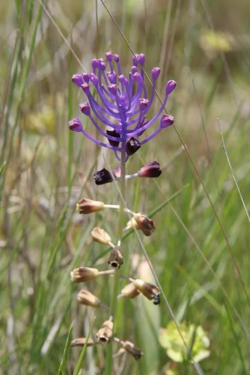 Natural landscape in Château De Siran - Hôtel & Spa