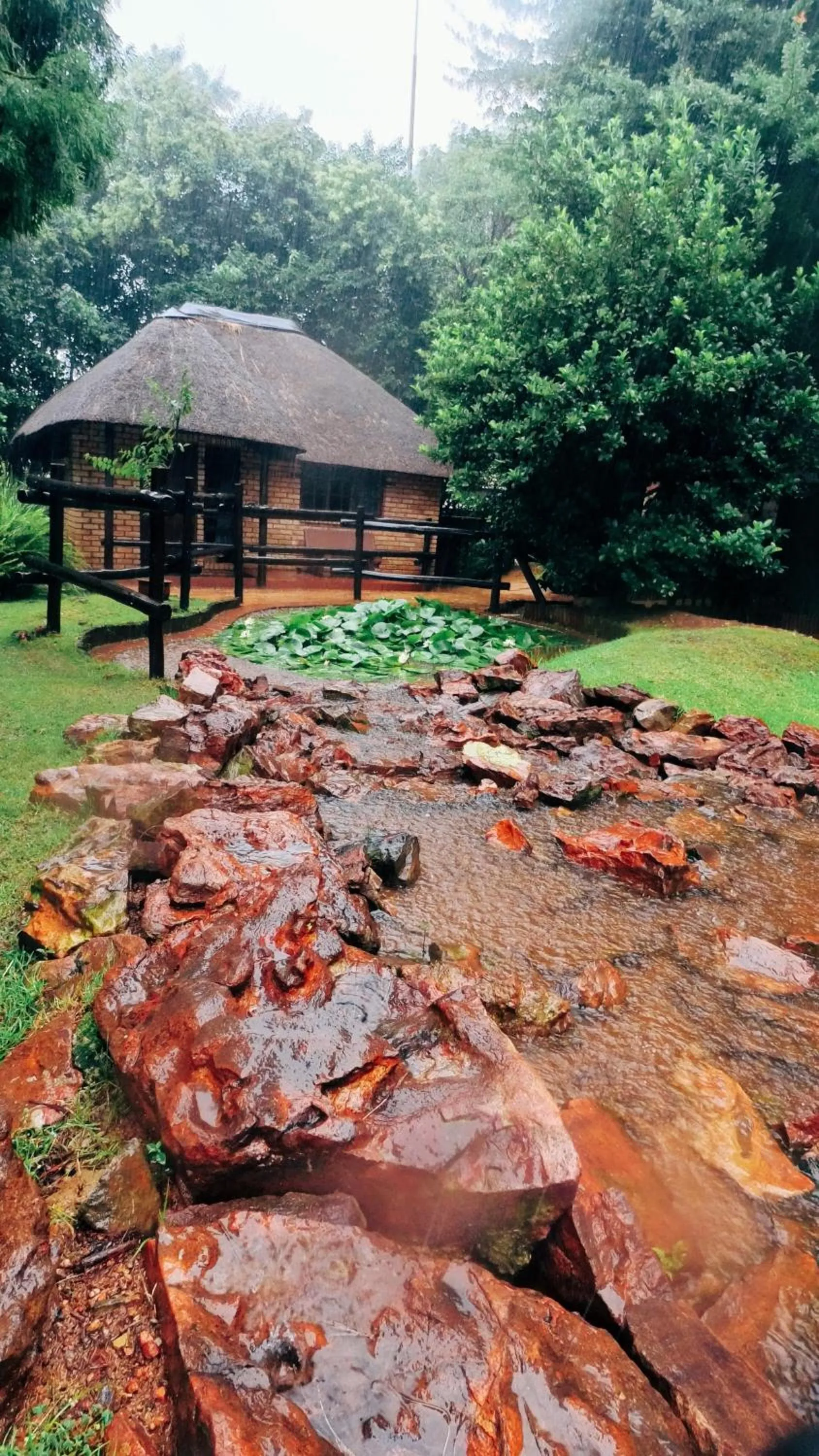 Garden in Goodnight Guest Lodge