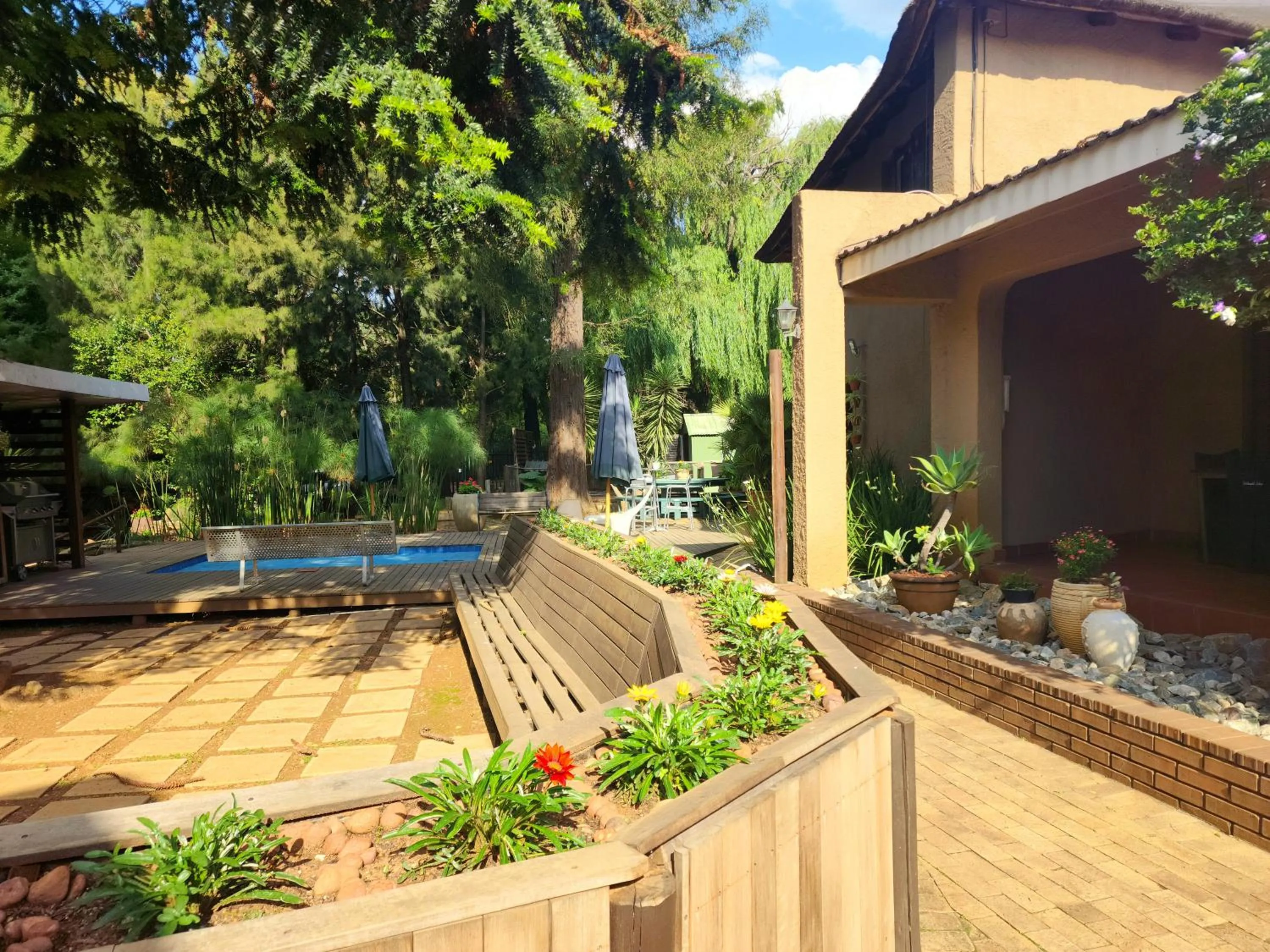 Garden in Goodnight Guest Lodge