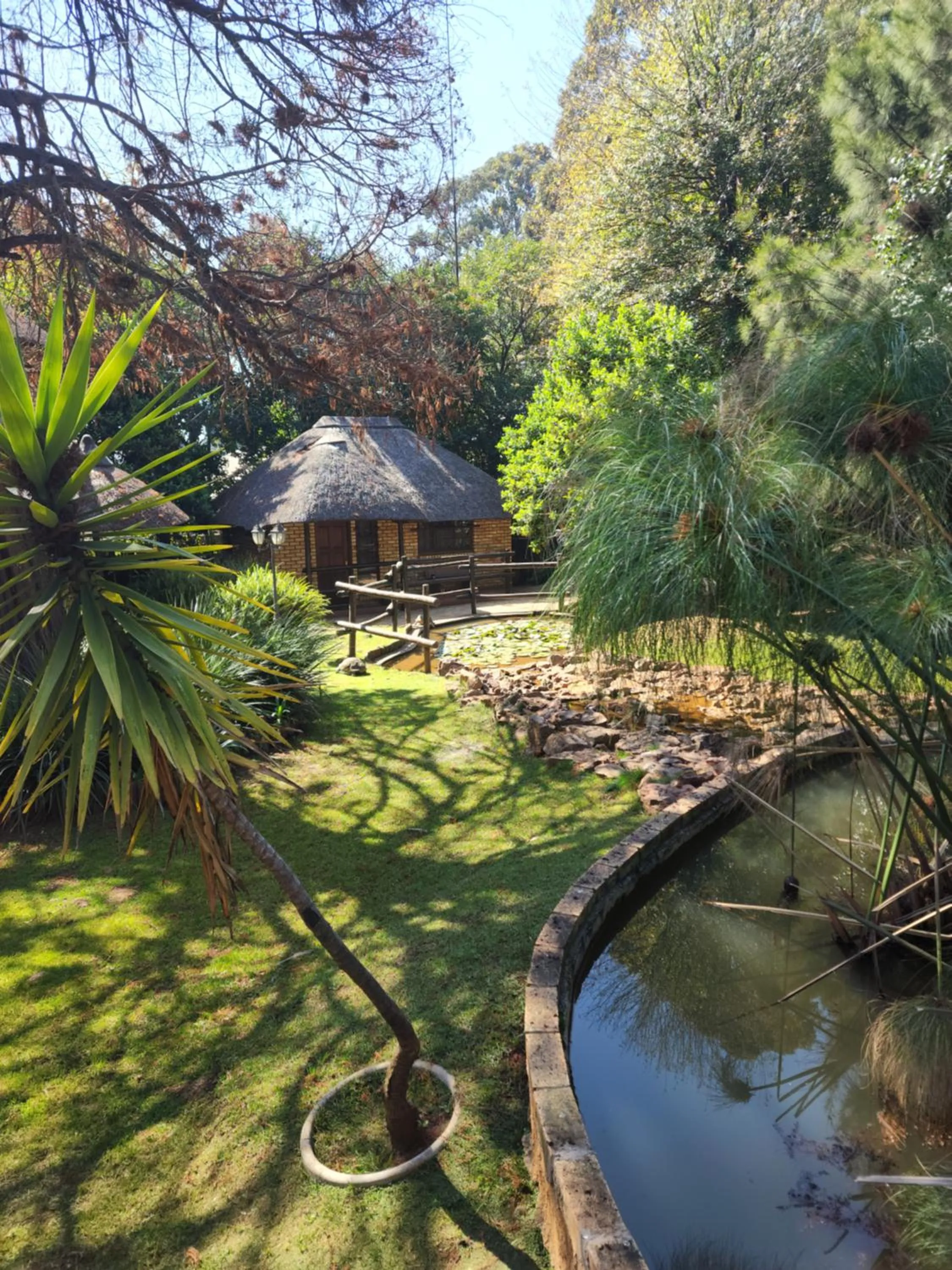 Garden in Goodnight Guest Lodge