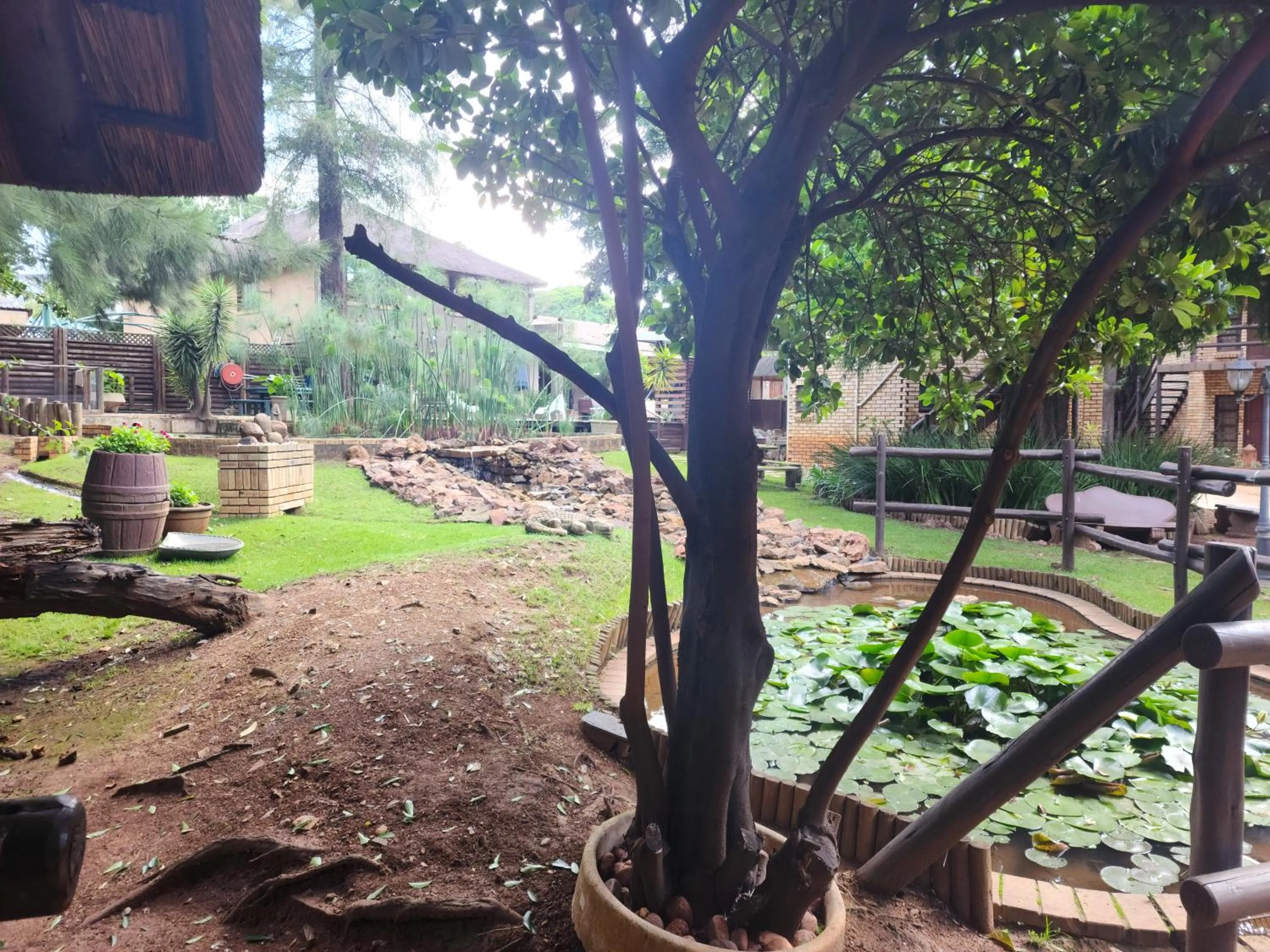 Garden in Goodnight Guest Lodge