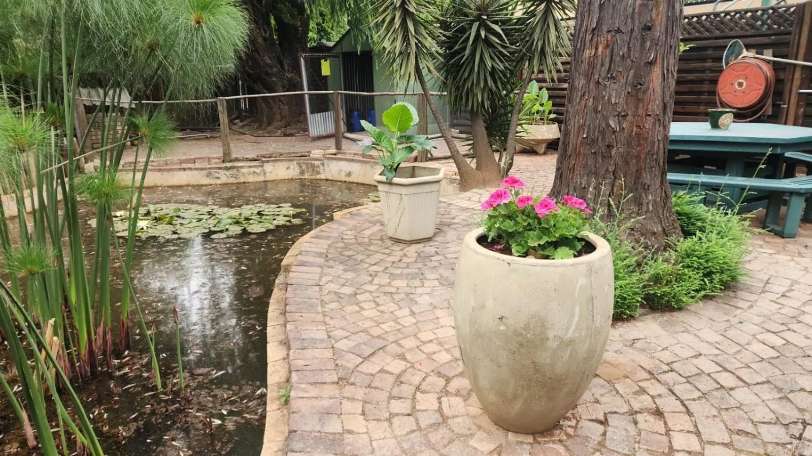 Garden in Goodnight Guest Lodge