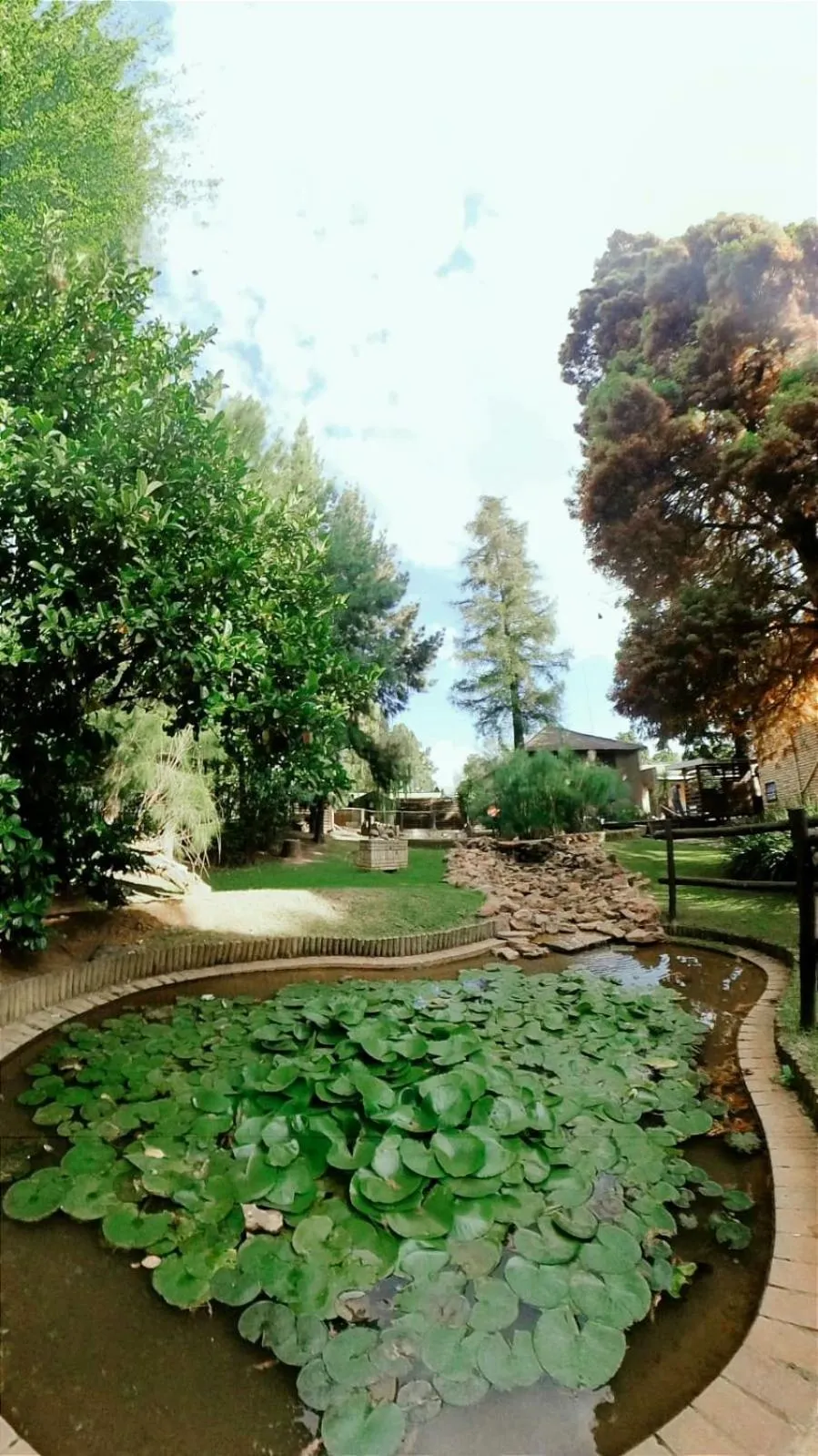 Garden in Goodnight Guest Lodge