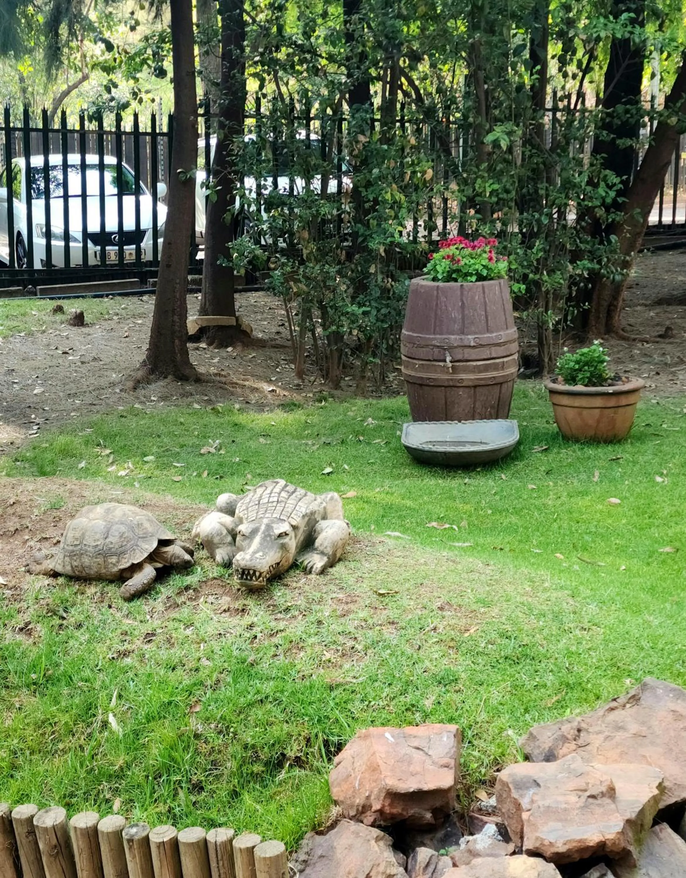 Garden in Goodnight Guest Lodge