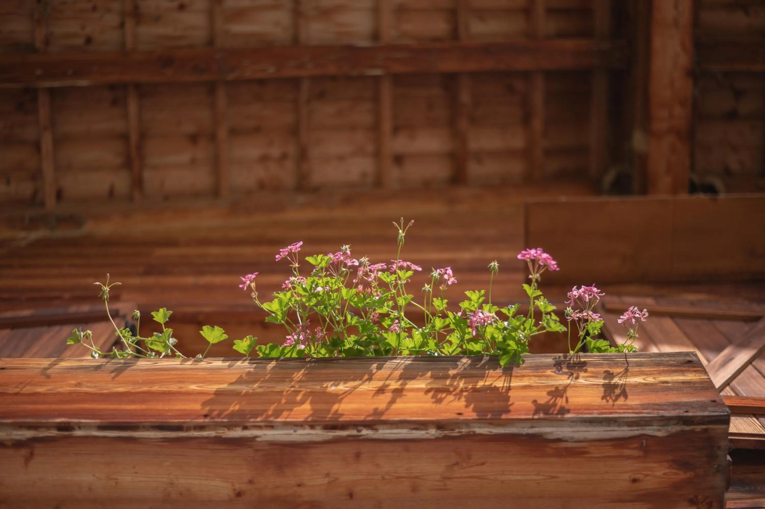Balcony/Terrace in Ütia De Börz