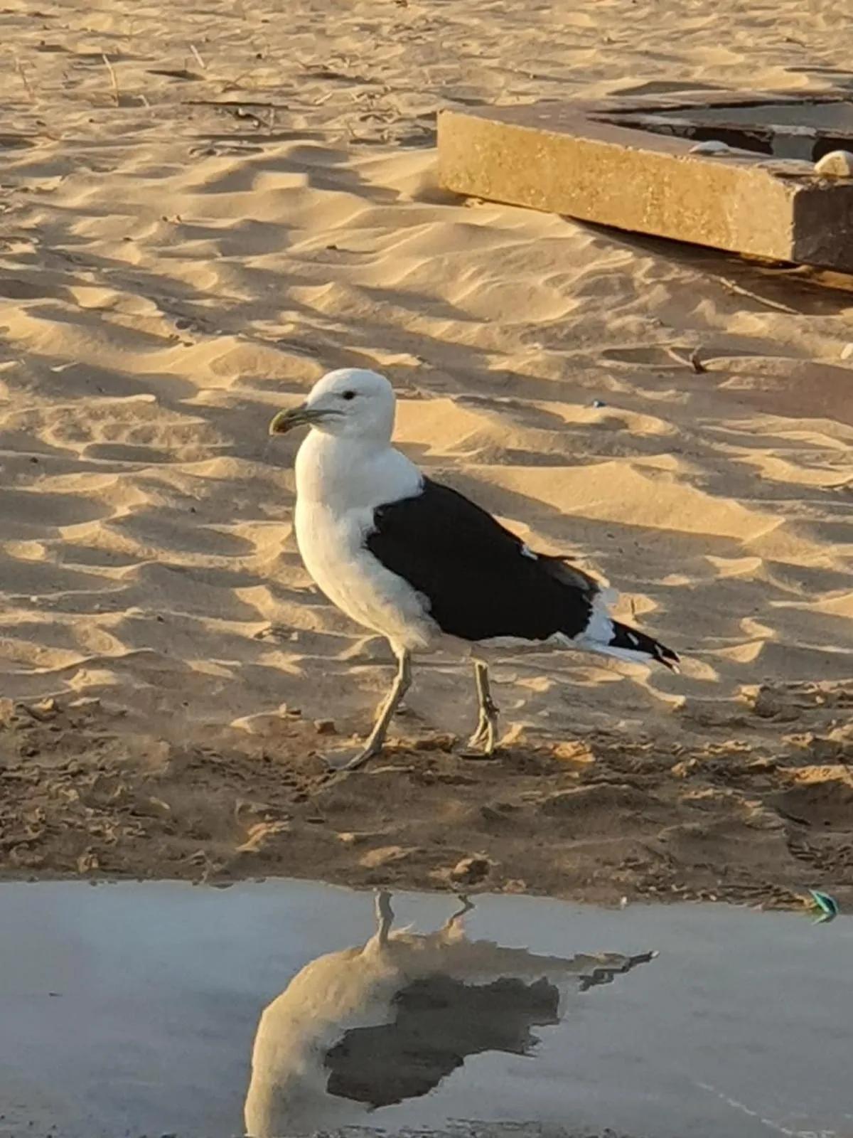 Beach in House Haven Guesthouse
