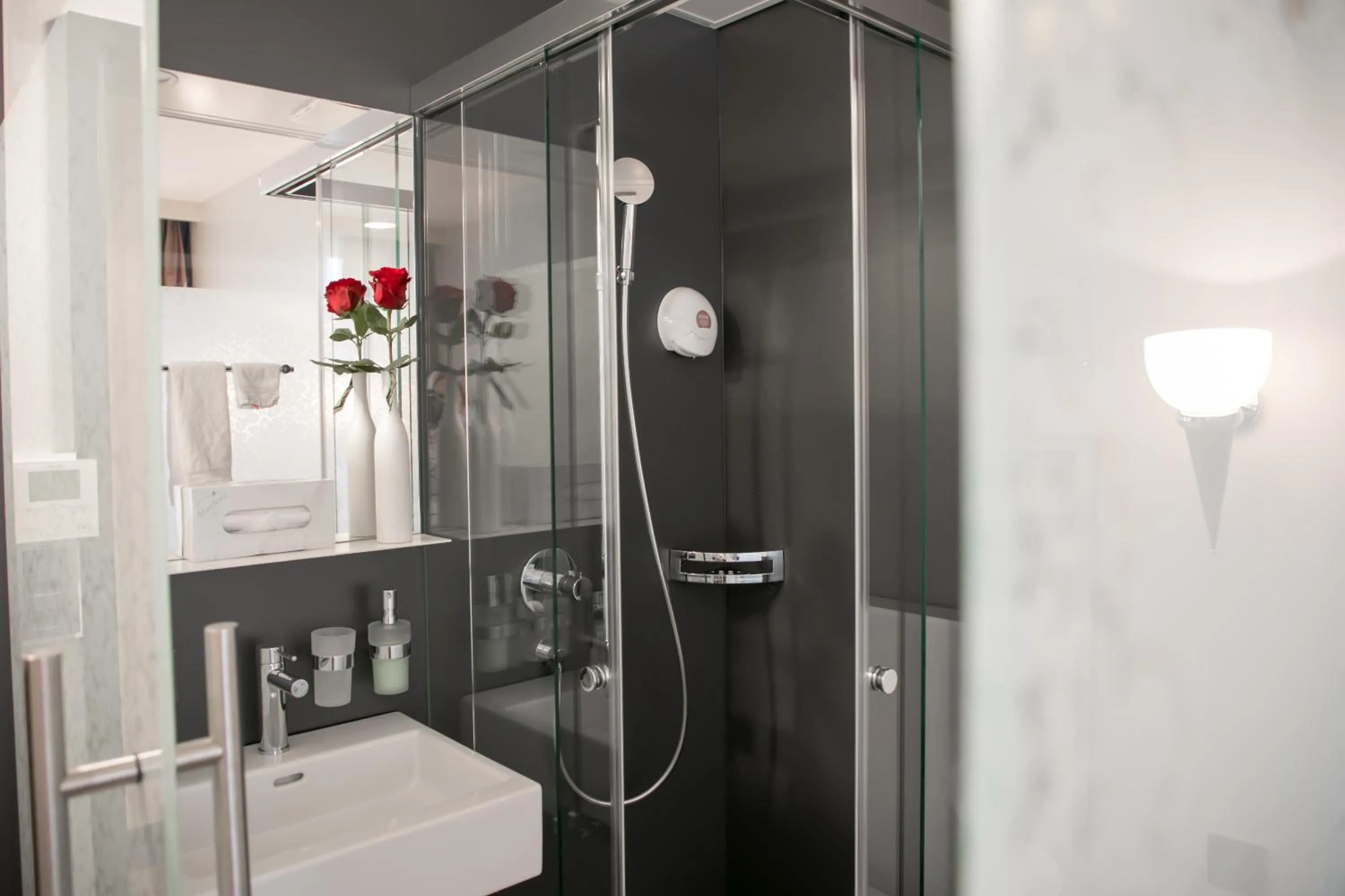 Economy Single Room in Tailormade Hotel METROPOL St Gallen