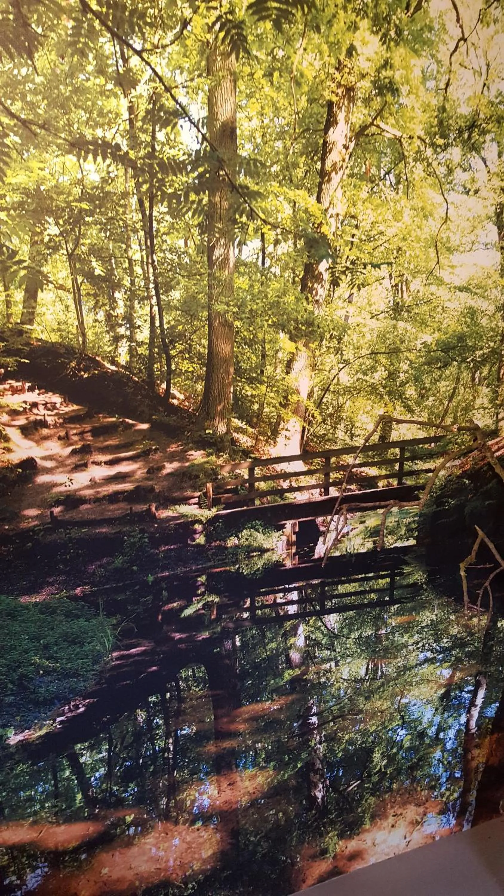 Nearby landmark in De Priesnitzhoeve