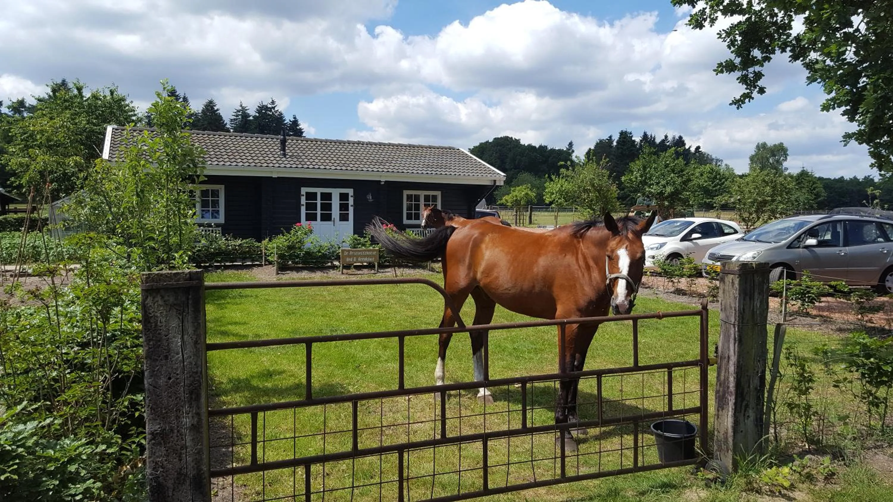 Facade/entrance in De Priesnitzhoeve
