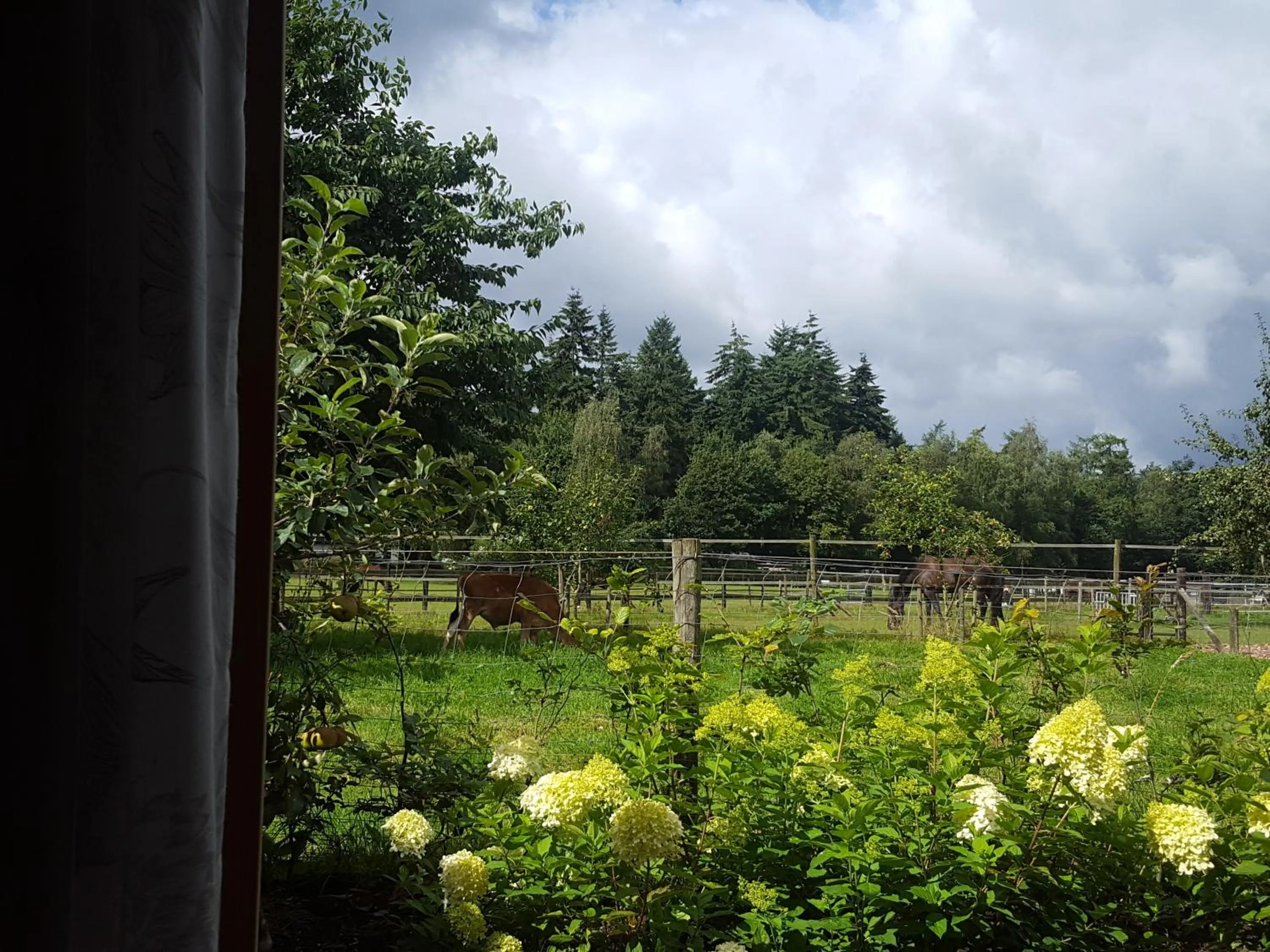 Neighbourhood in De Priesnitzhoeve