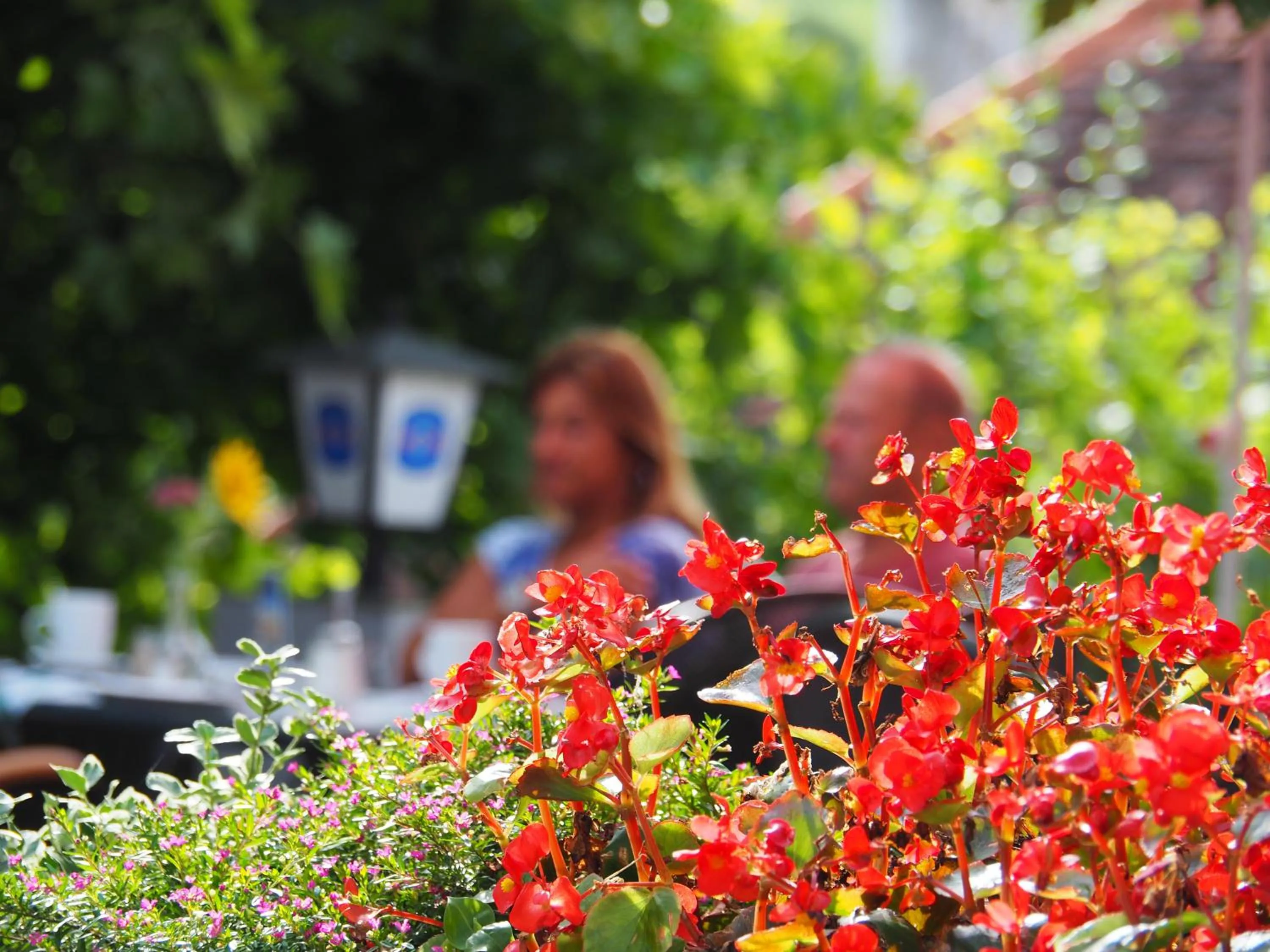 Garden view in Breitenfelderhof zur Riegersburg
