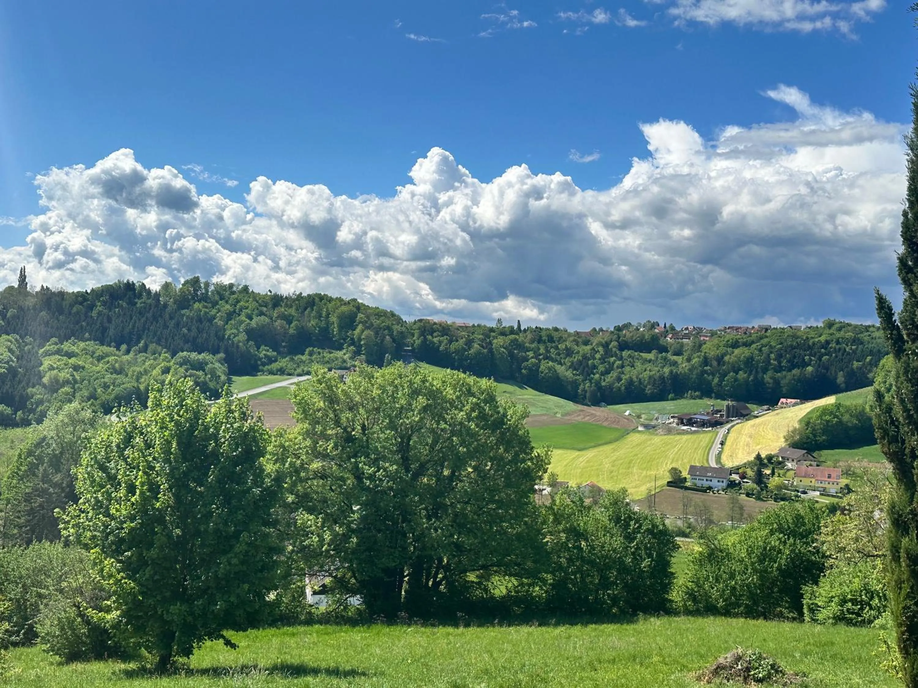 Area and facilities in Breitenfelderhof zur Riegersburg