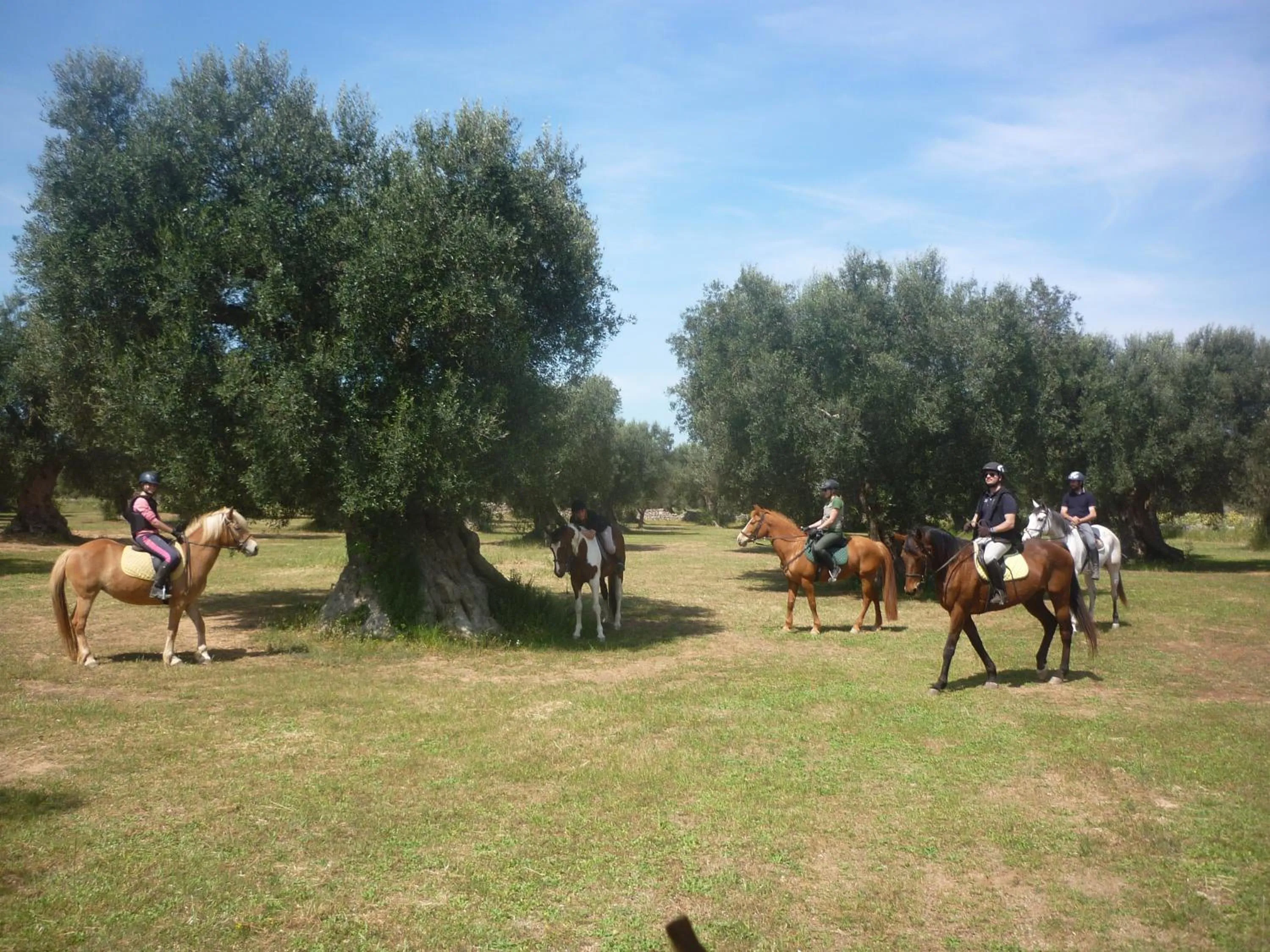 Horse-riding in Masseria Li Campi