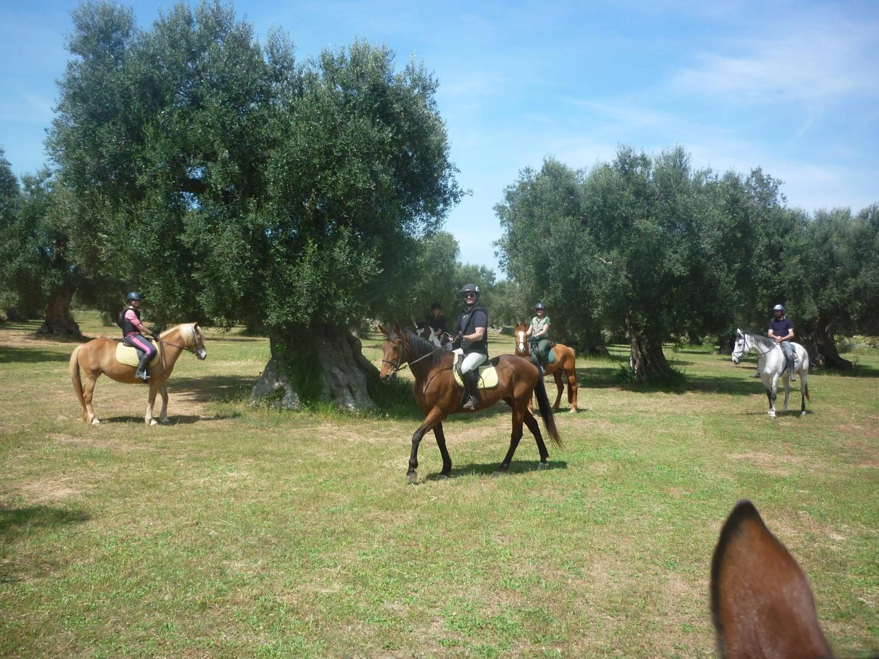Horse-riding in Masseria Li Campi