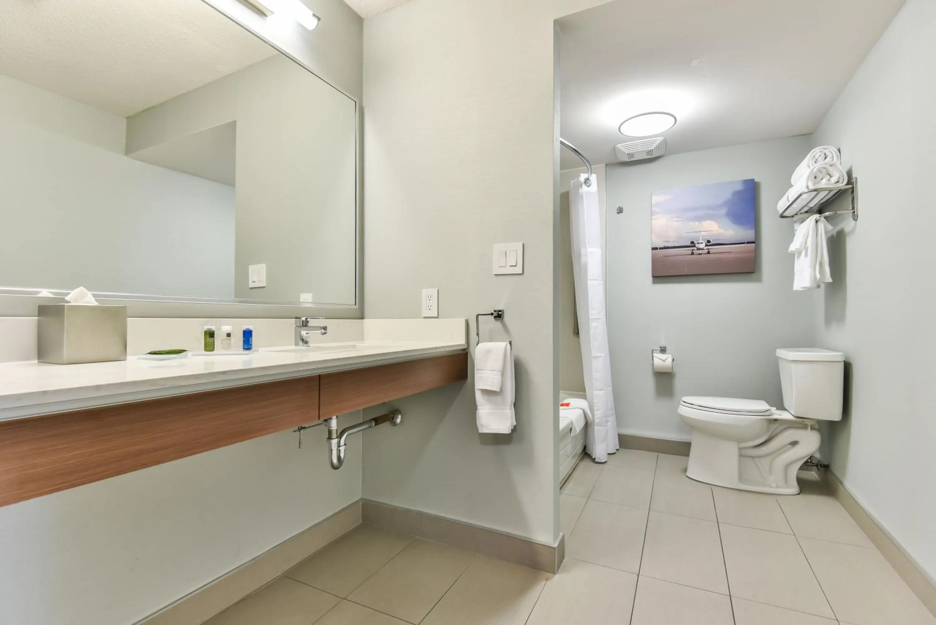 Toilet, Bathroom in Radisson Suites Hotel Toronto Airport