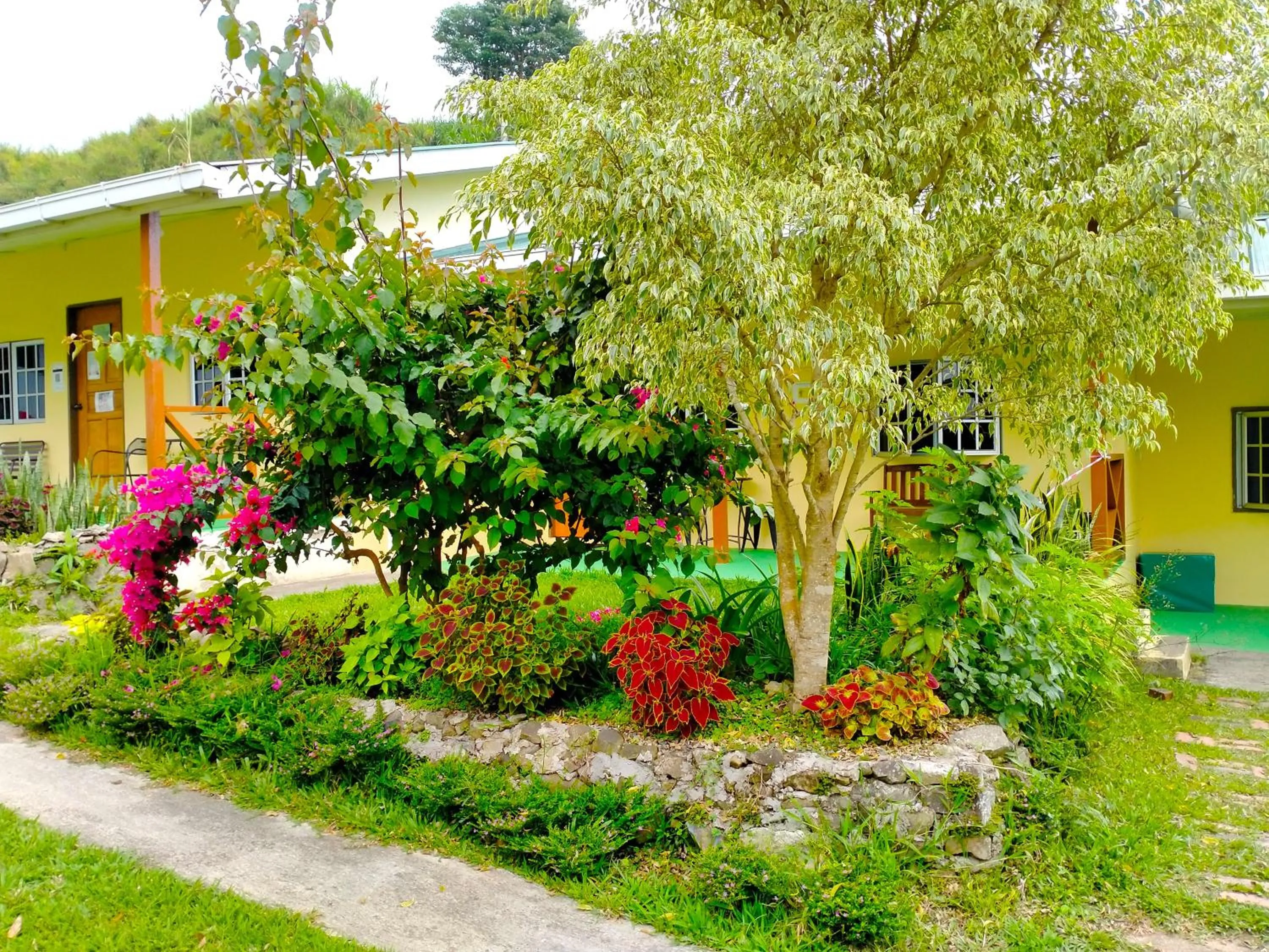 Garden in Soboroong Farmer's Cottage