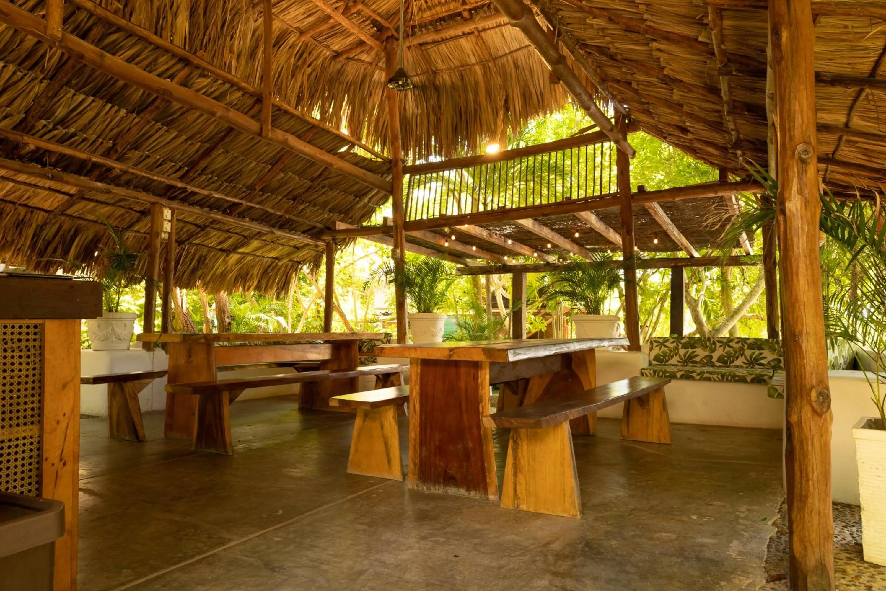 Restaurant/places to eat in Hotel Playa Scondida Barú