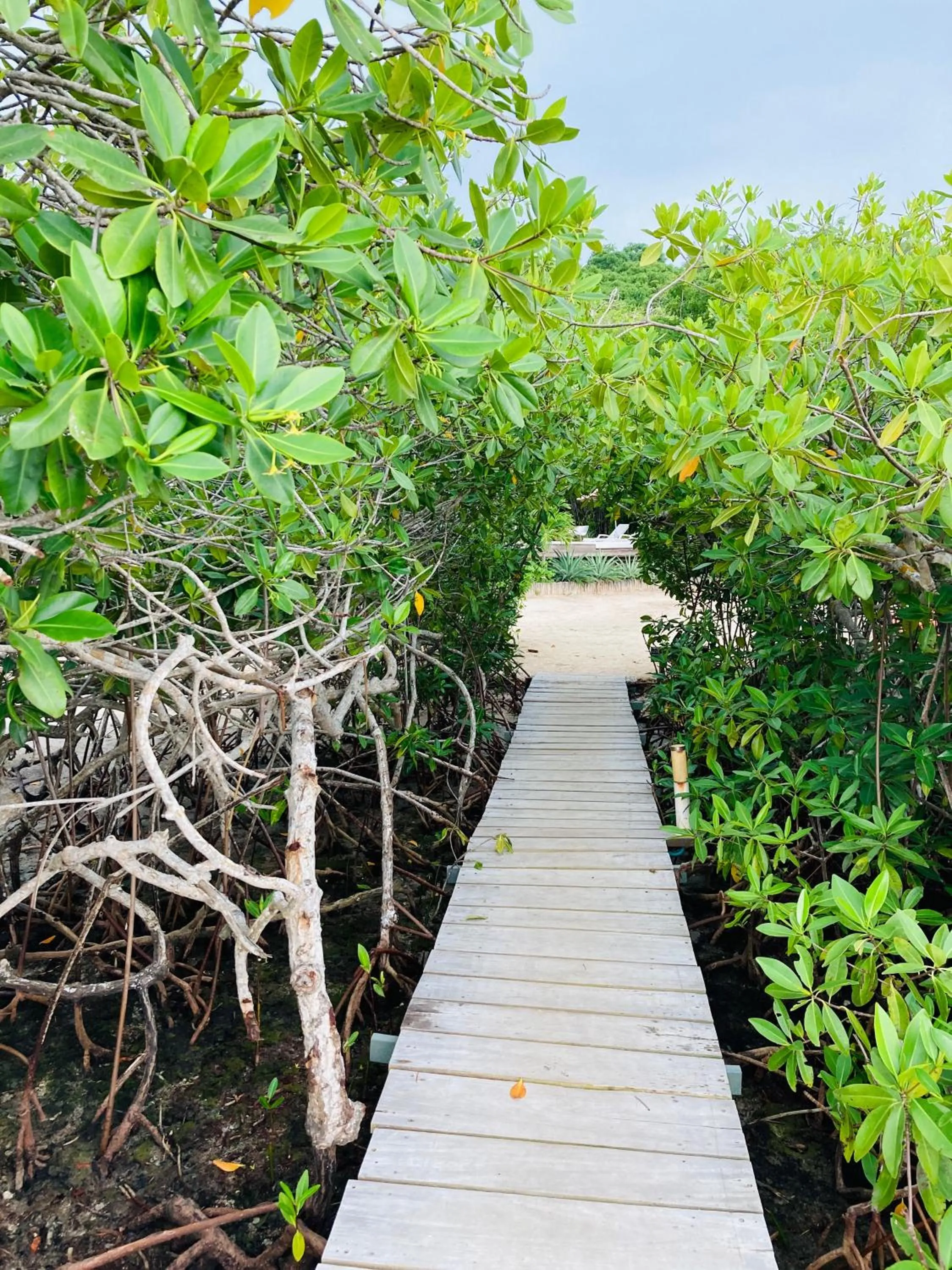 Day in Hotel Playa Scondida Barú